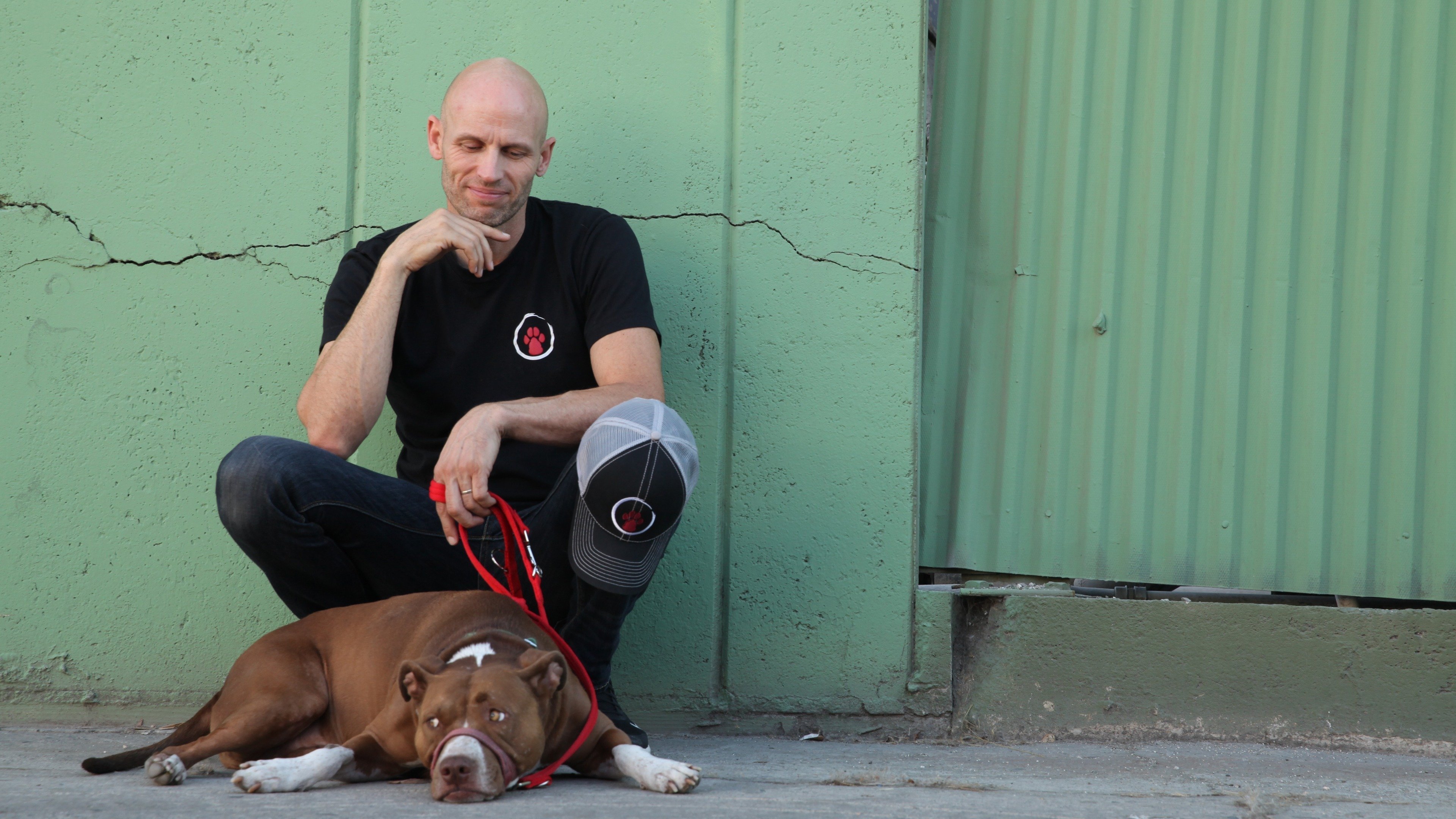 Backdrop for Dog: Impossible