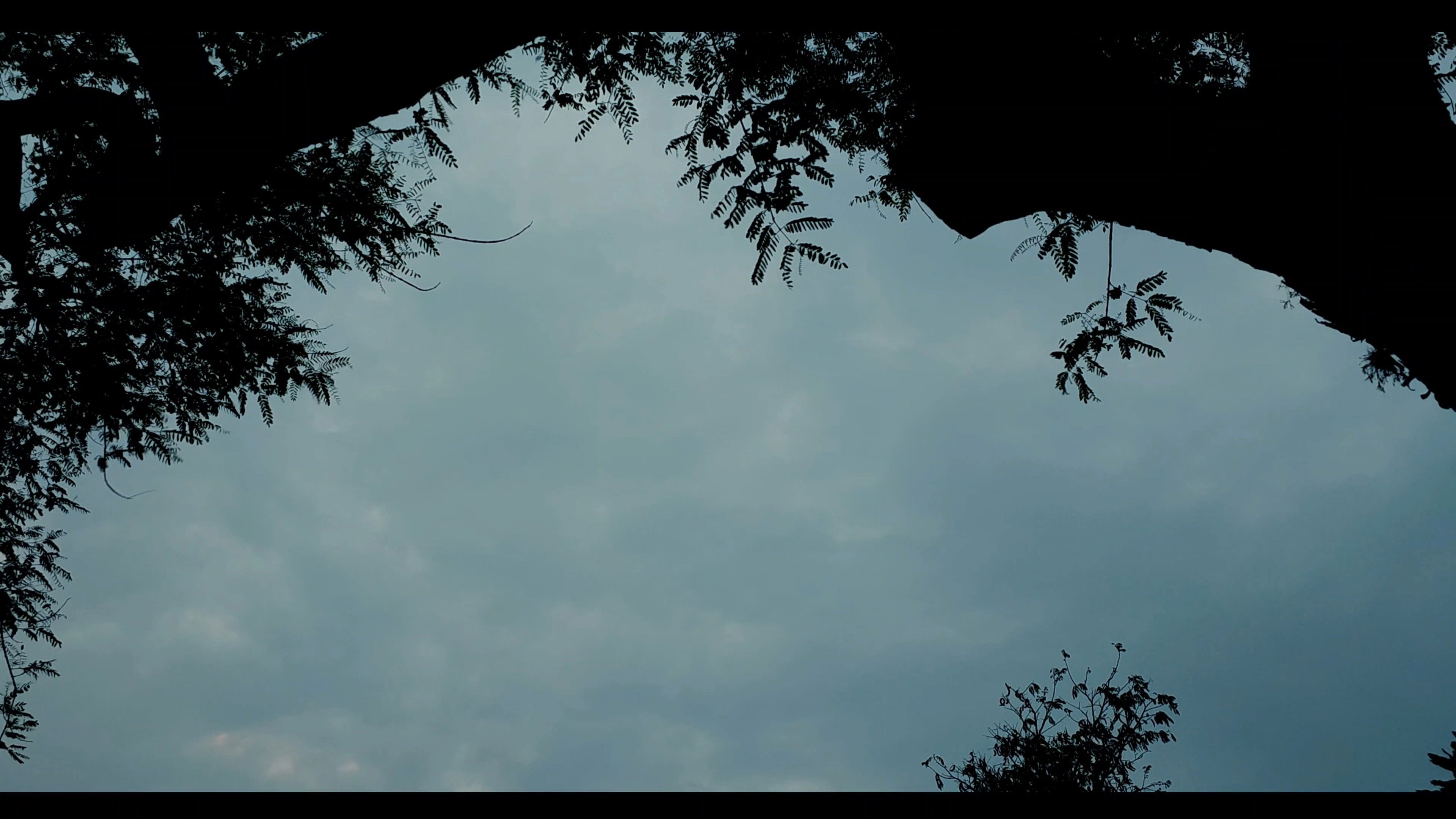 Backdrop for Além do Tempo