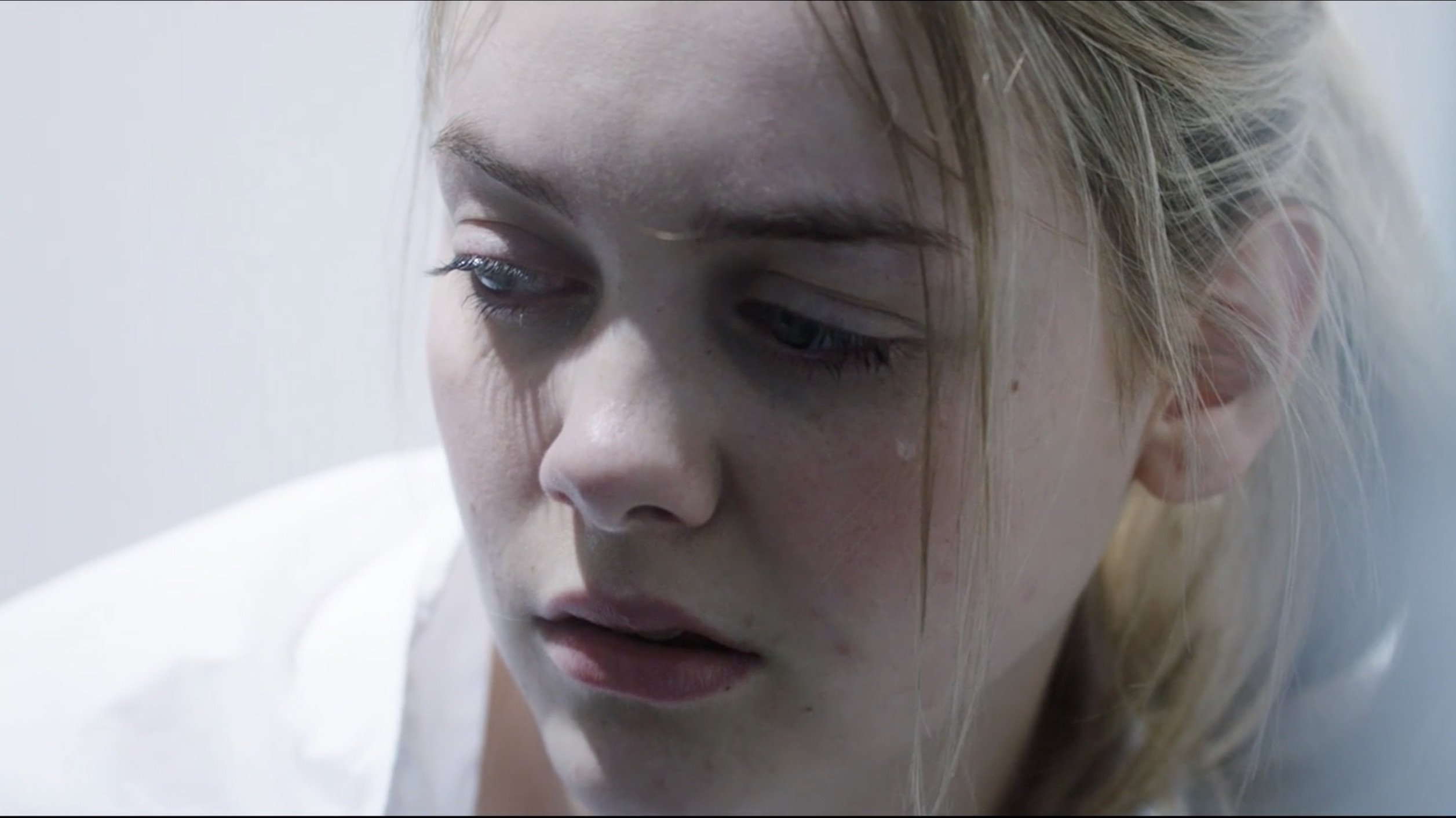 Backdrop for Wild Butterfly