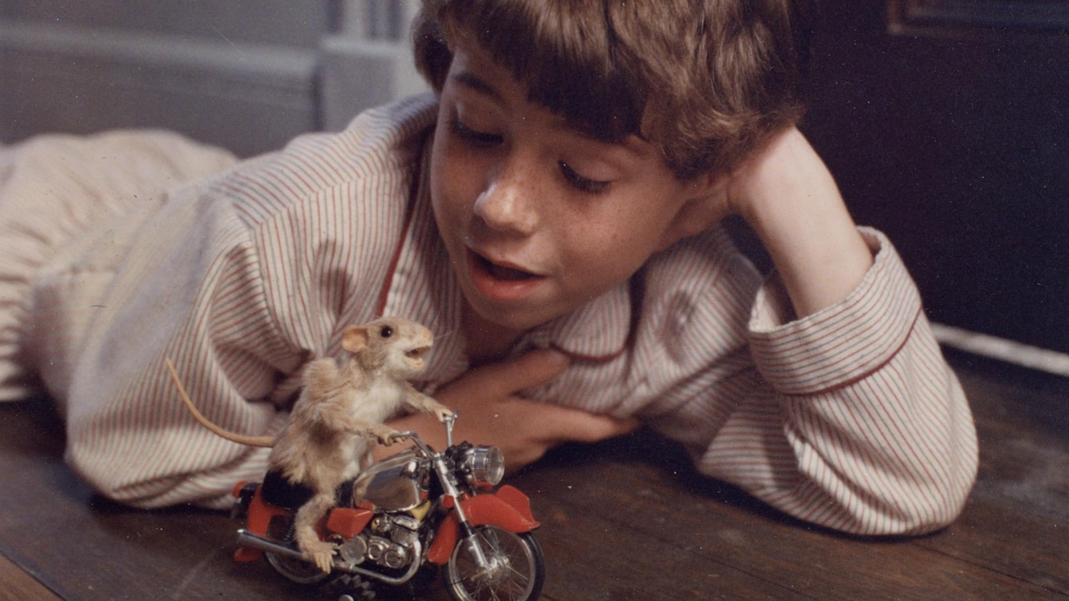 Backdrop for The Mouse and the Motorcycle