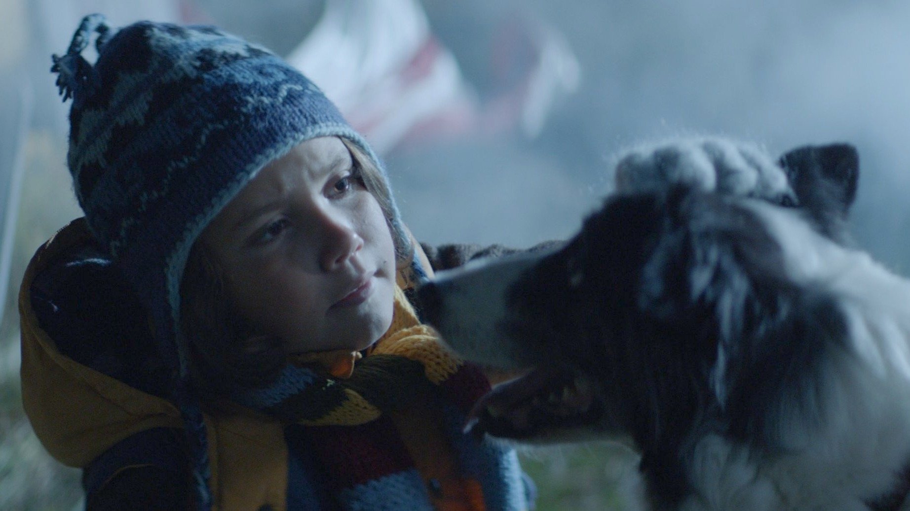 Backdrop for A Wish Upon A Satellite