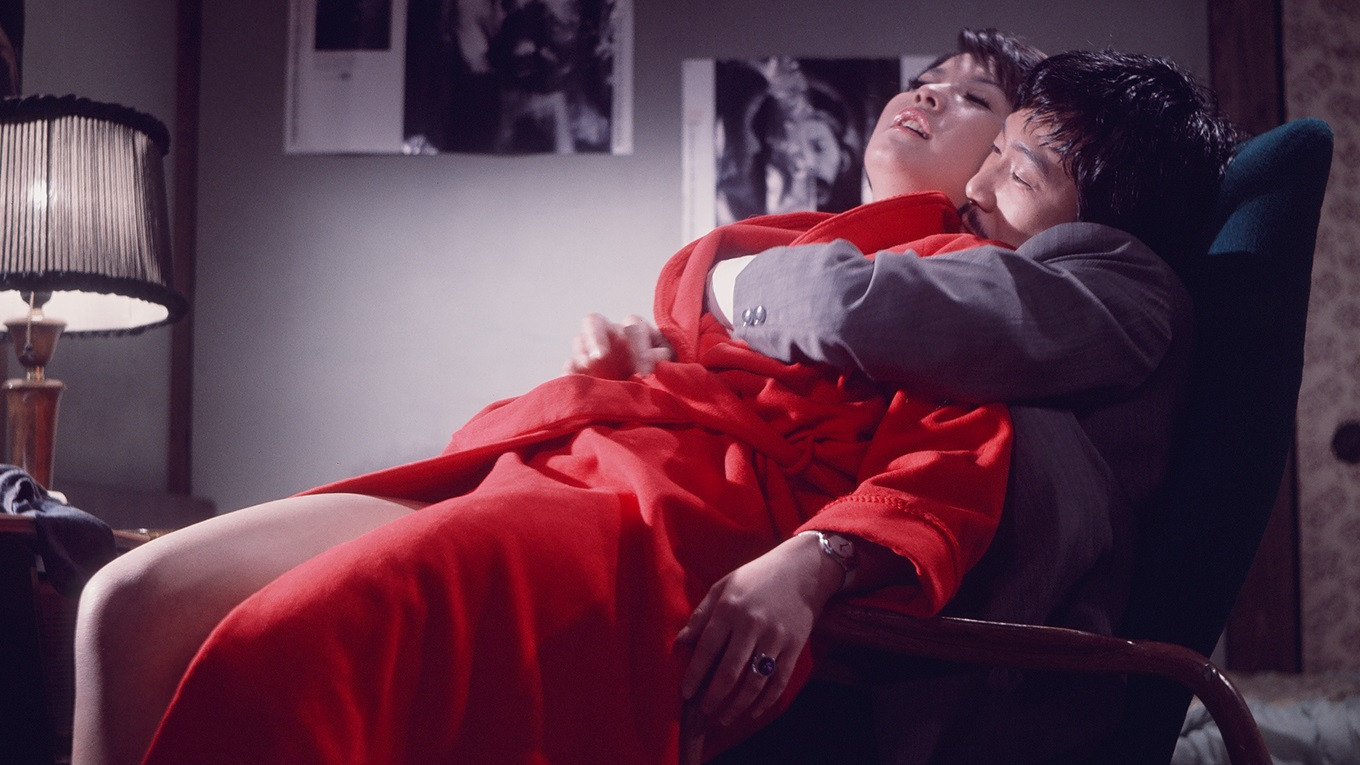 Backdrop for Night of the Felines