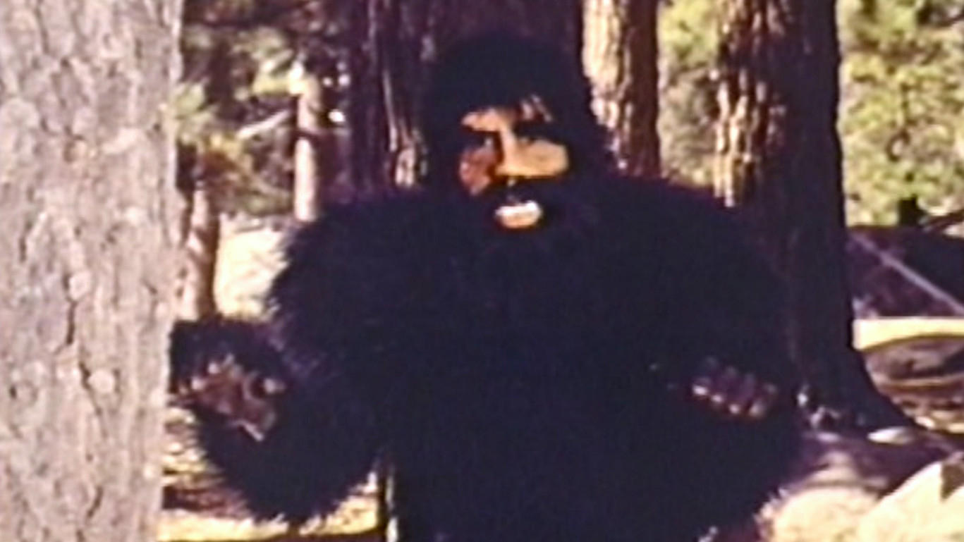 Backdrop for The Beauties and the Beast