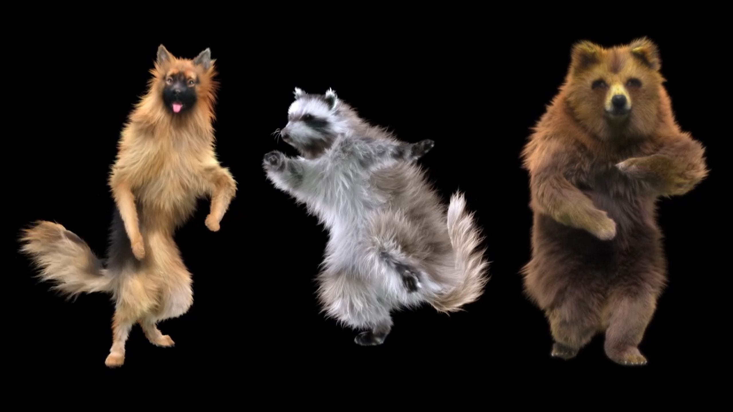 Backdrop for Animals: Drugs, Sex and Fun!