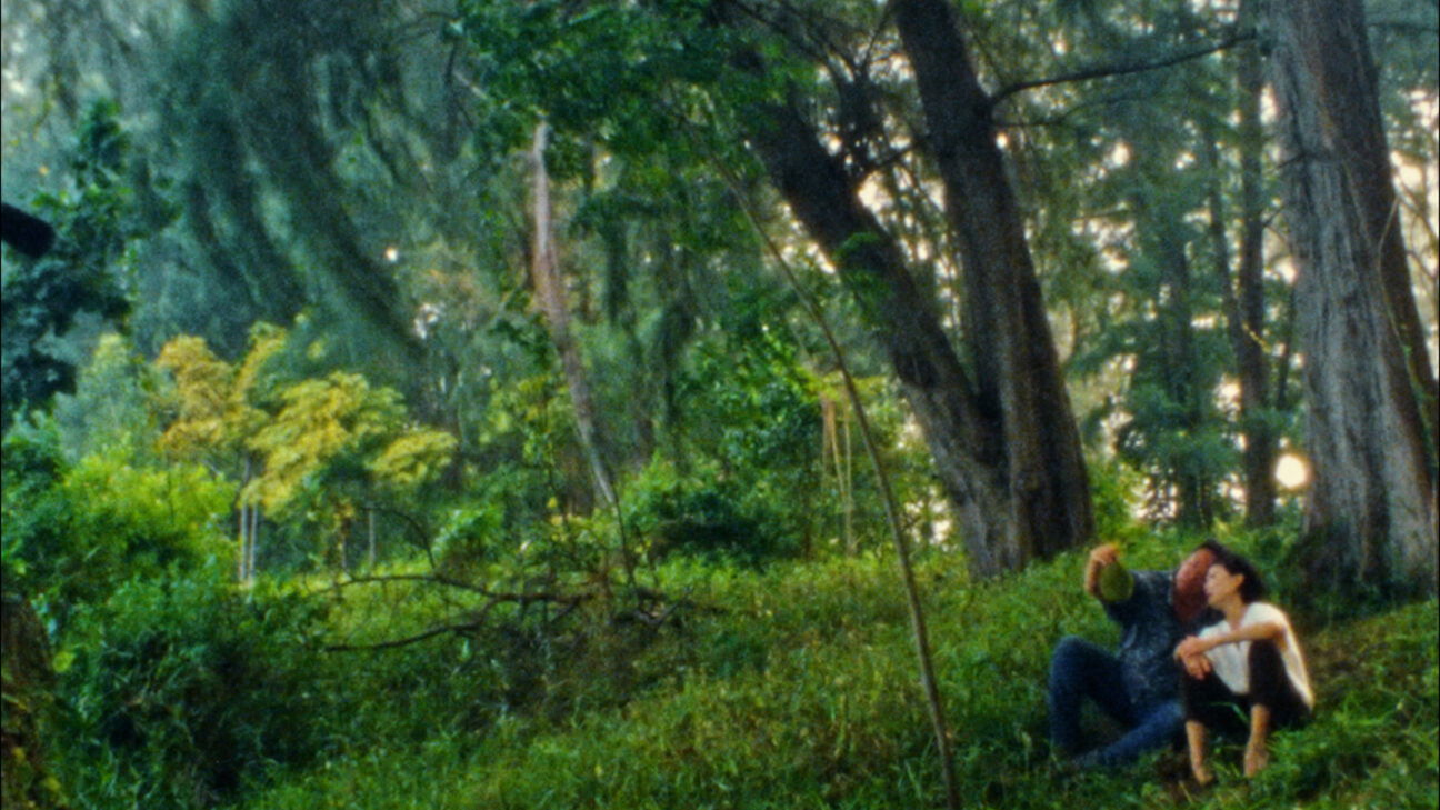 Backdrop for Durian, Durian