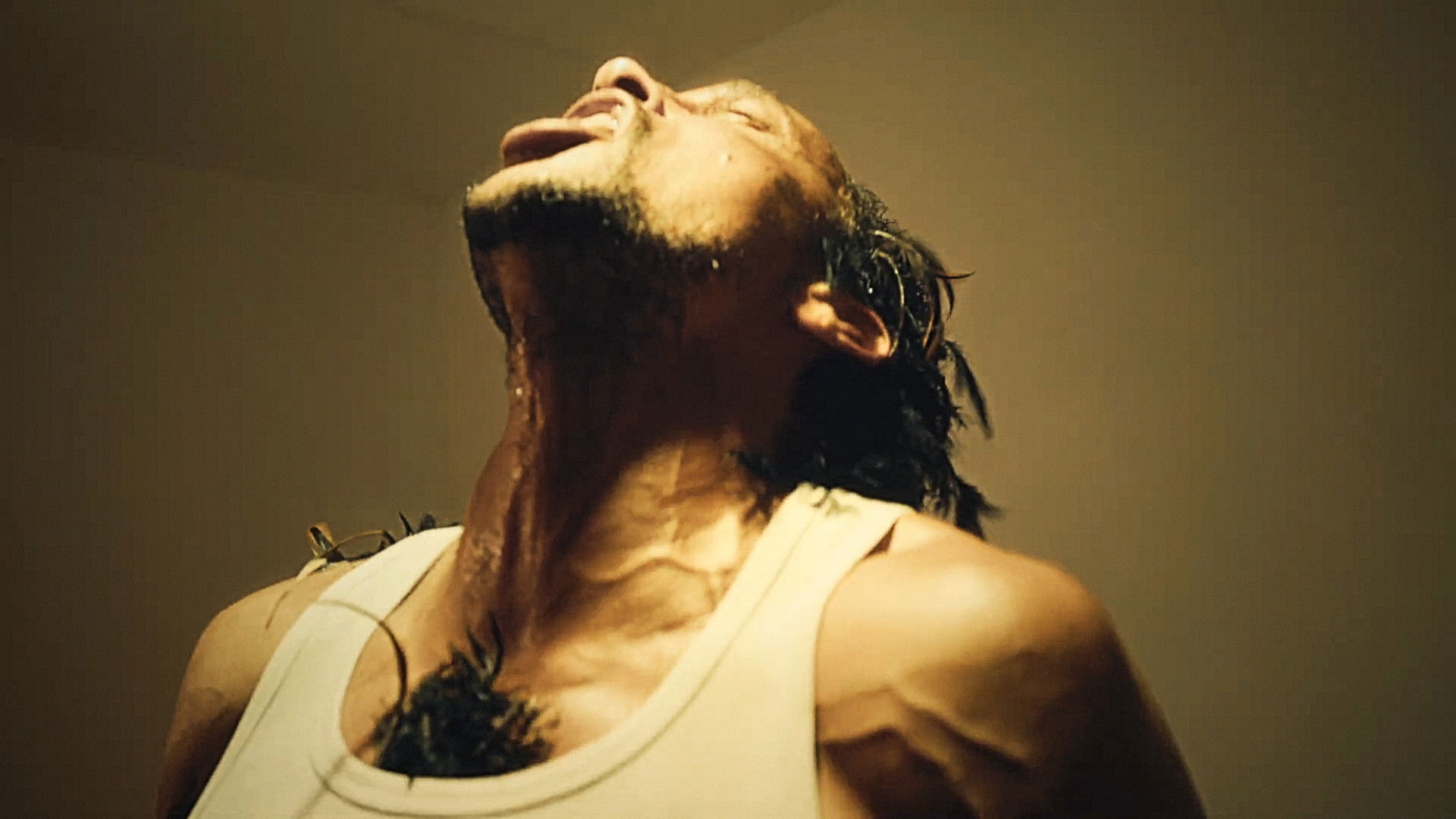 Backdrop for Pou fé lèv soleil