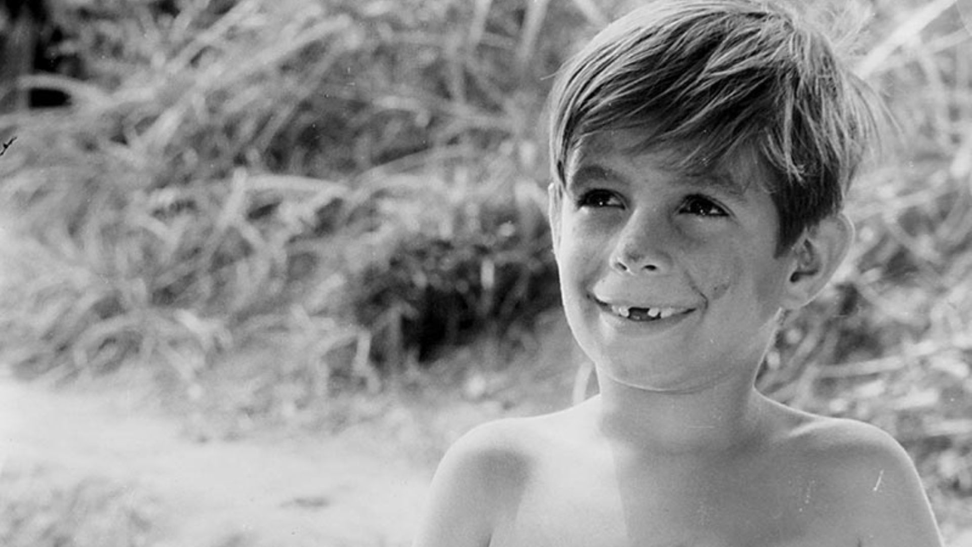 Backdrop for Menino da Calça Branca