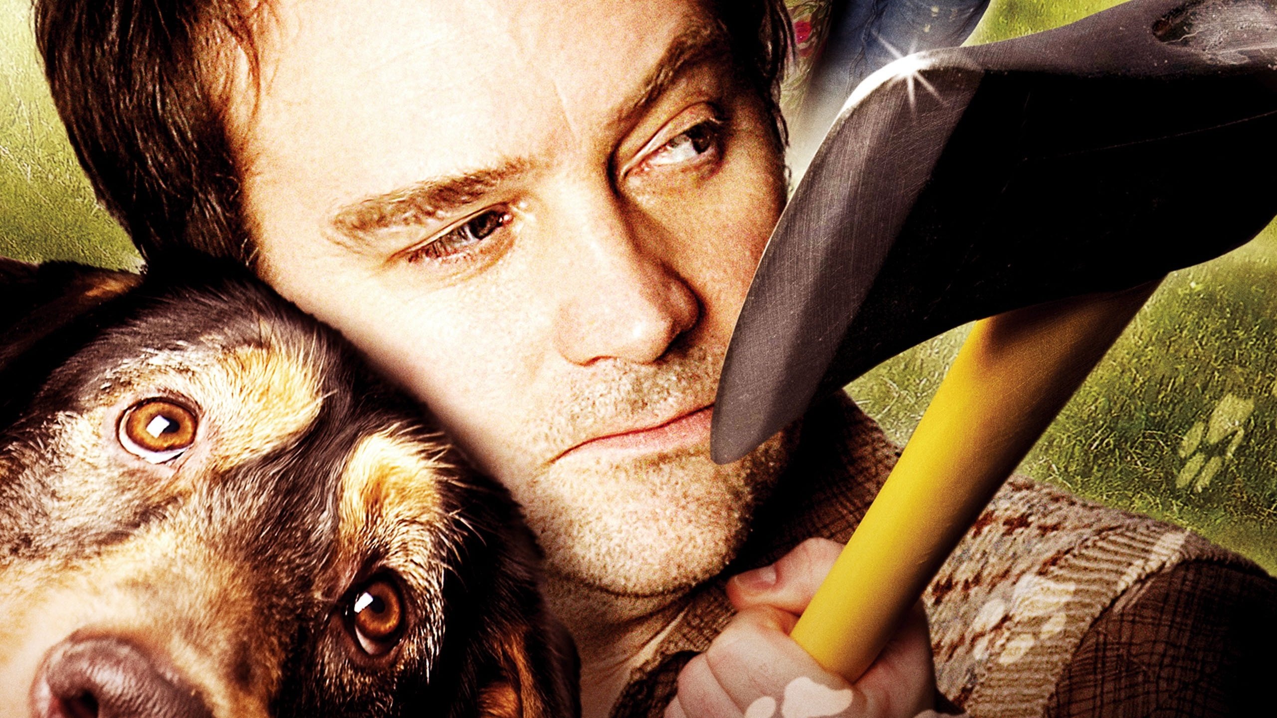 Backdrop for A Dog's Breakfast