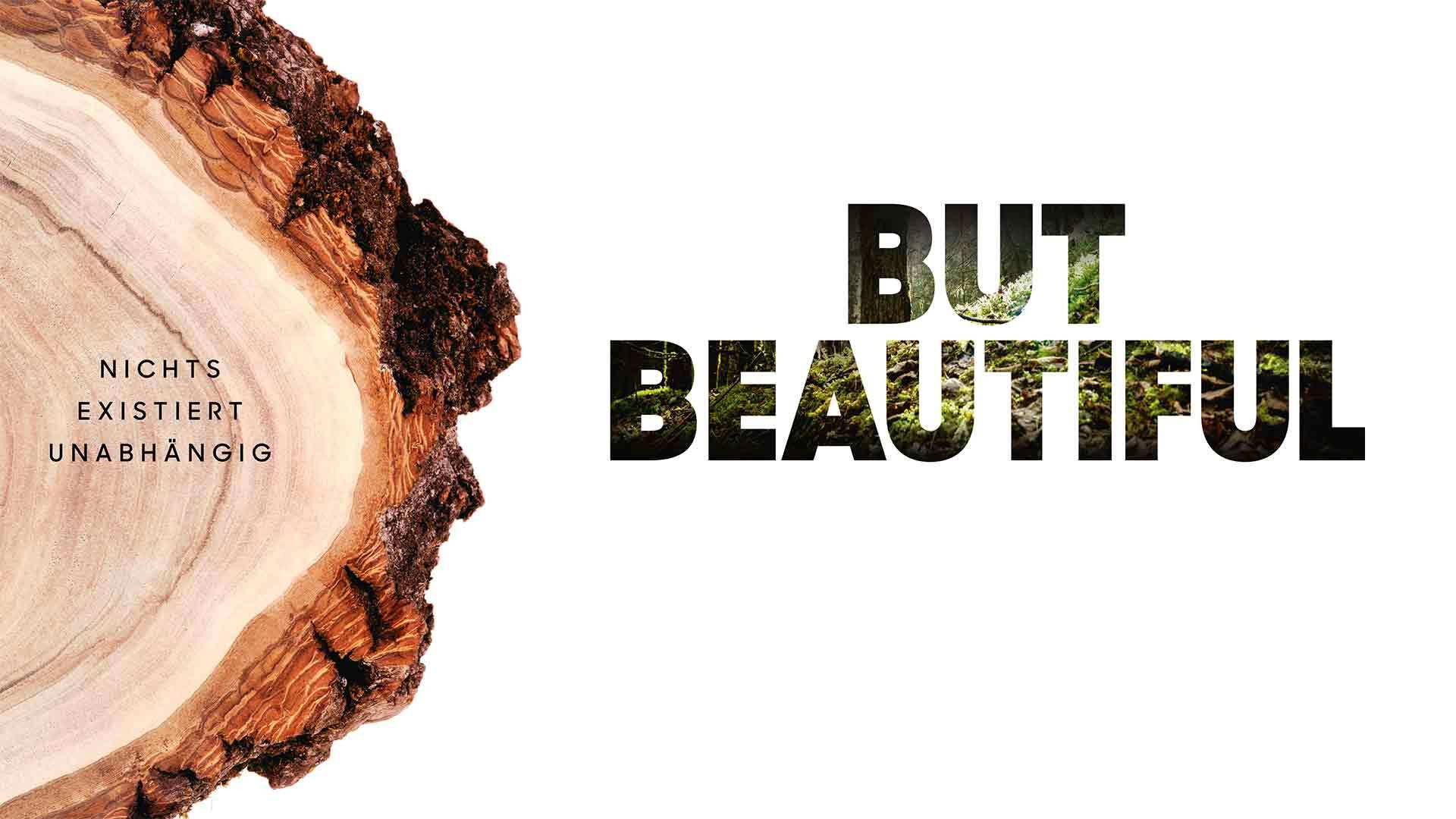 Backdrop for But Beautiful