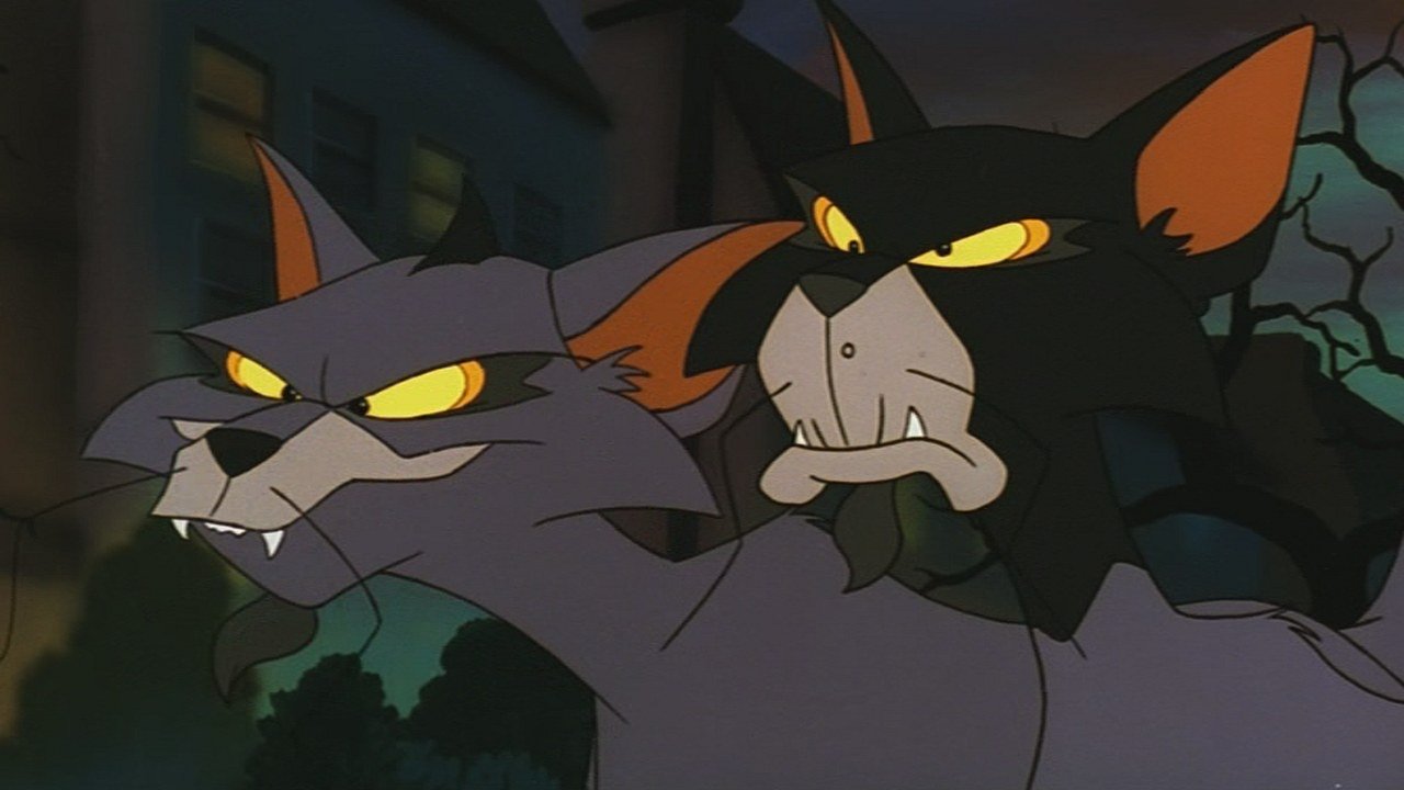 Backdrop for Felidae