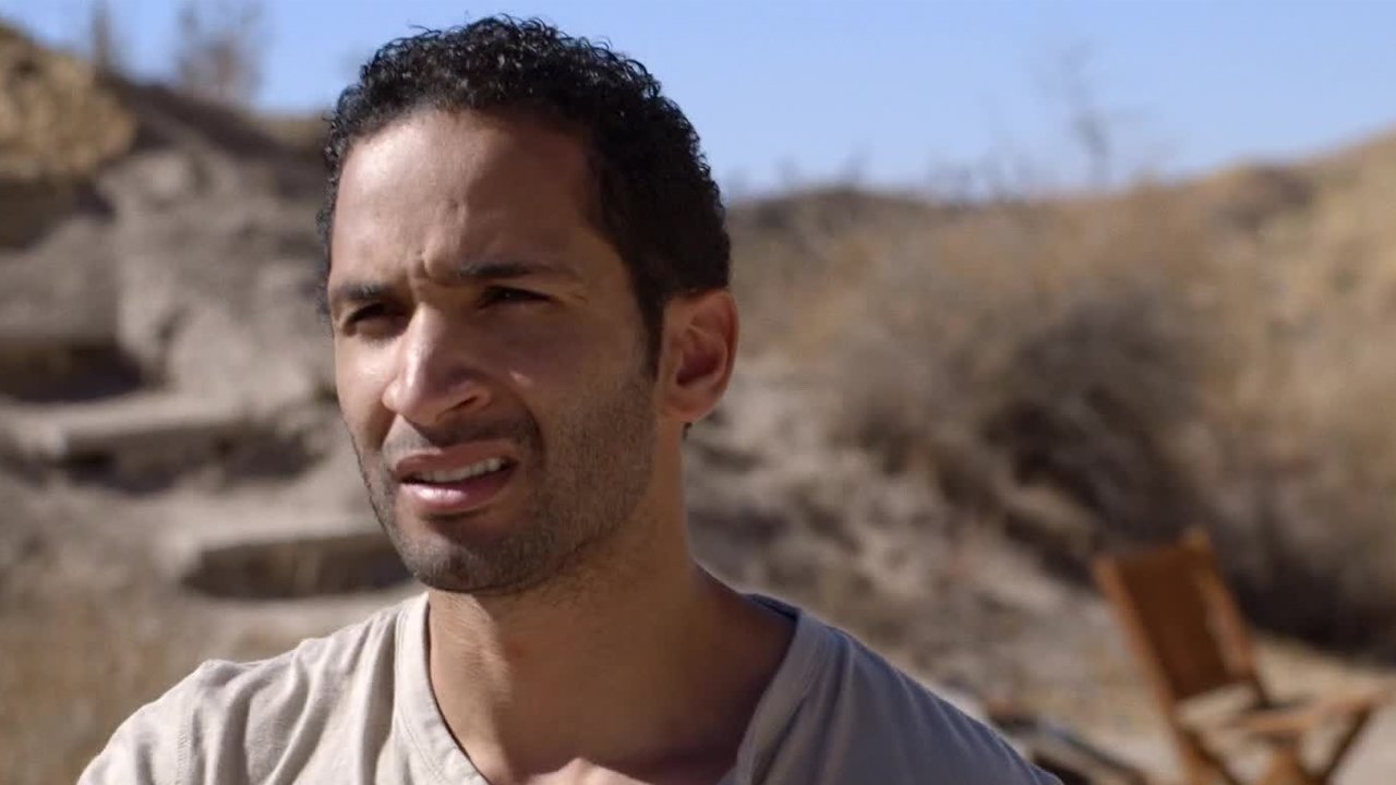 Backdrop for False Colors