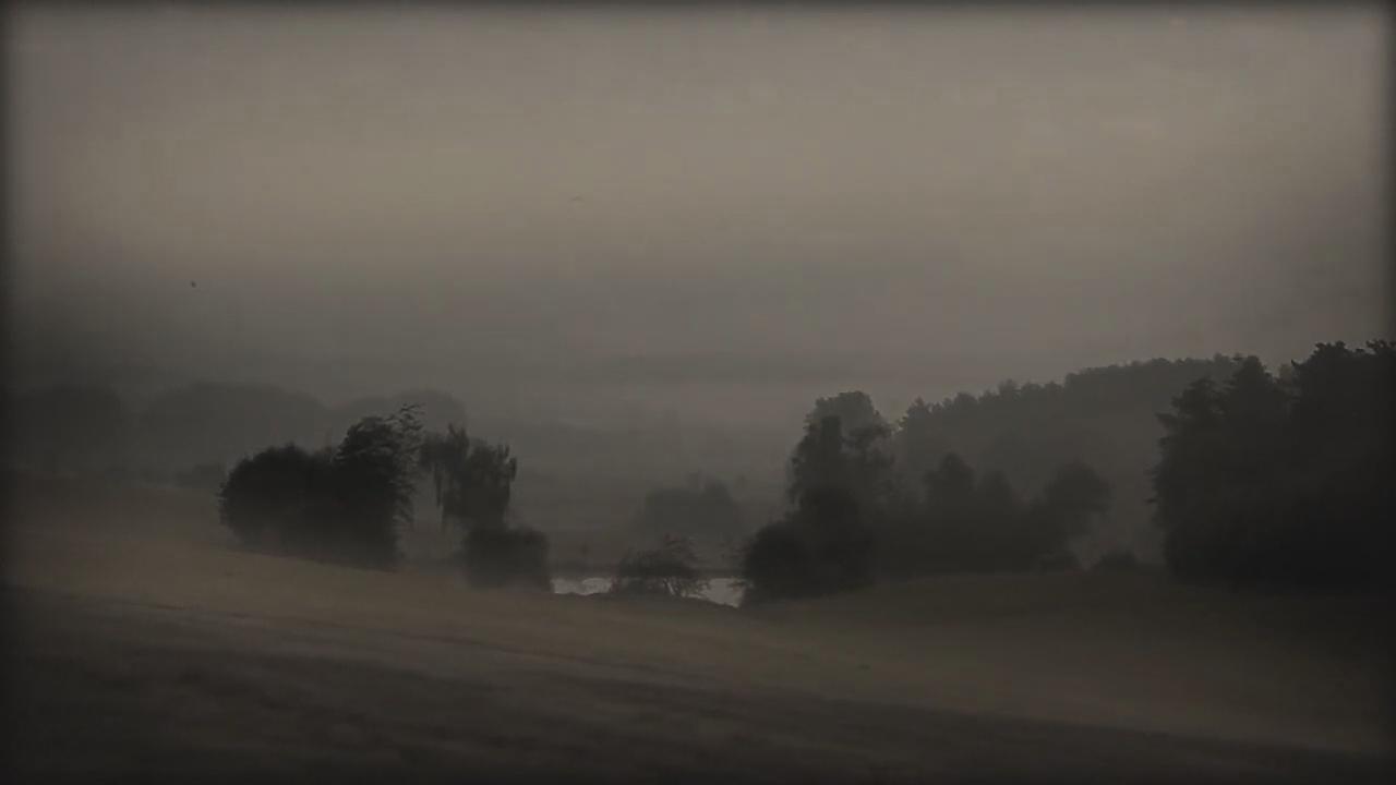 Backdrop for Blight Of Humanity