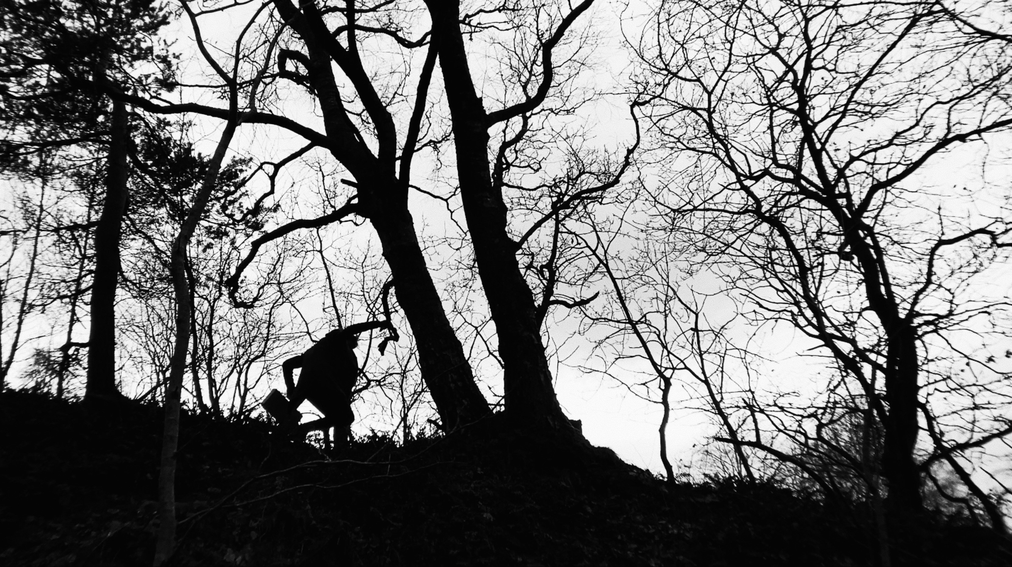 Backdrop for Escalation