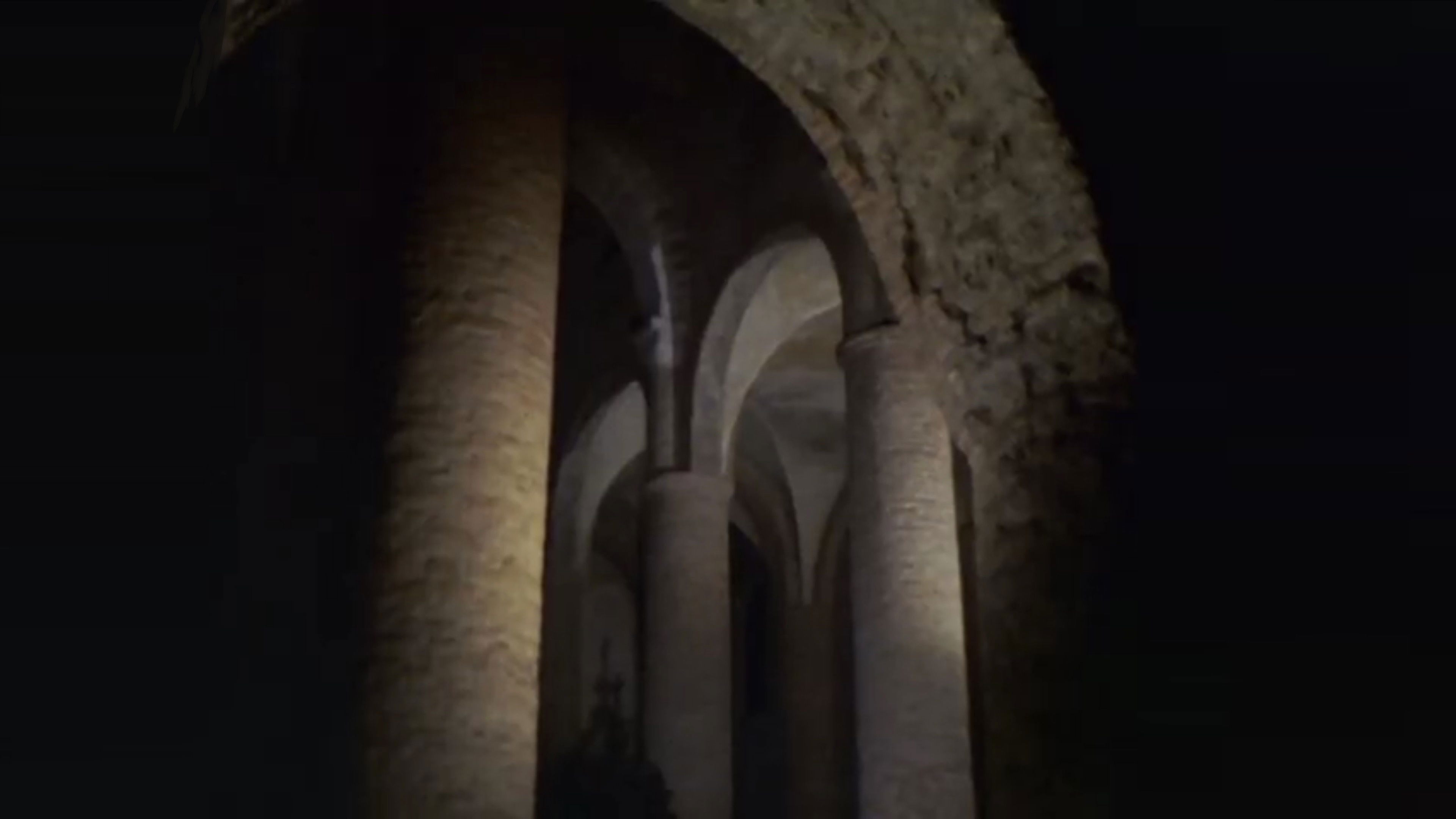 Backdrop for The Fossil