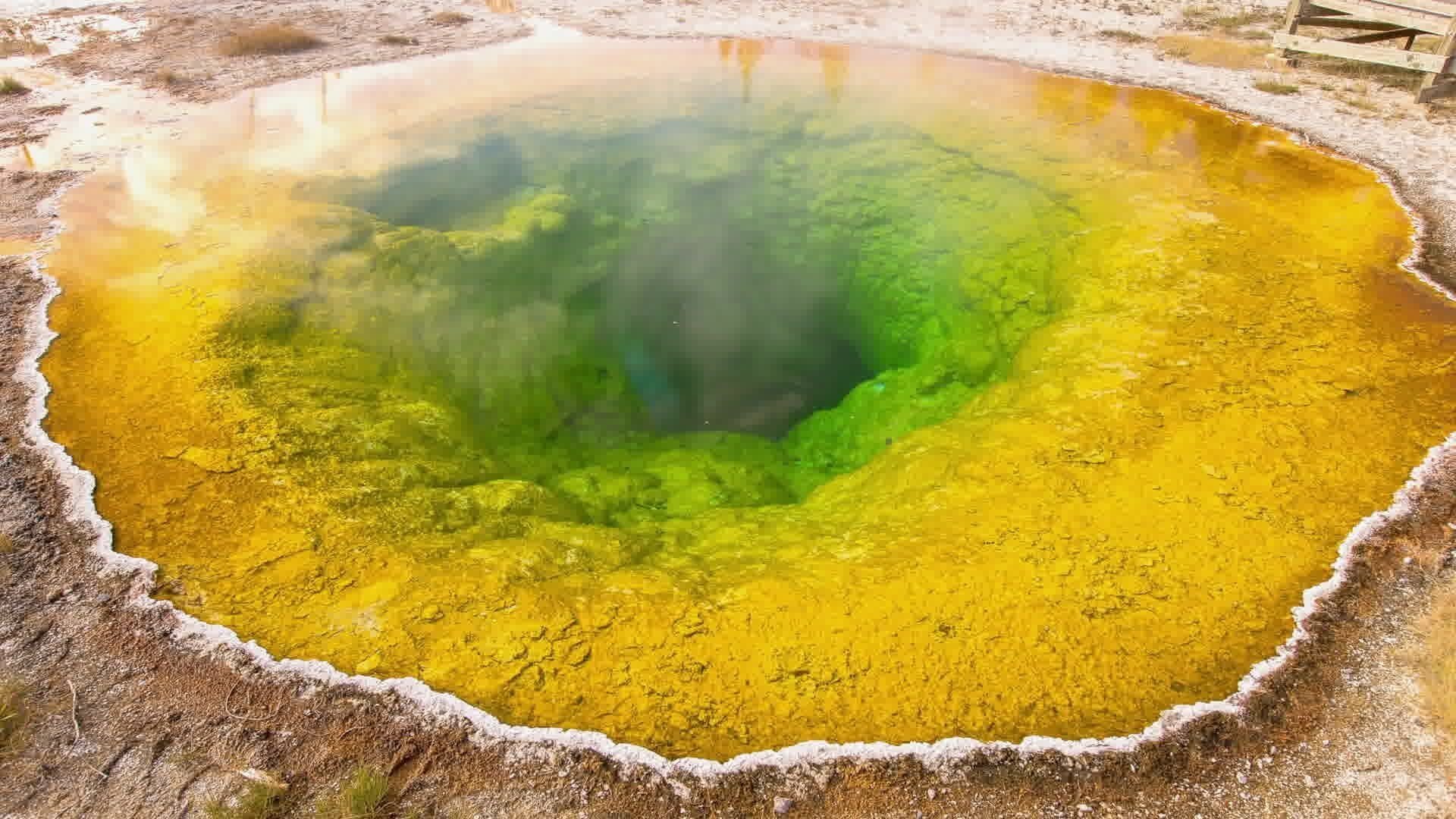 Backdrop for Ancient Yellowstone