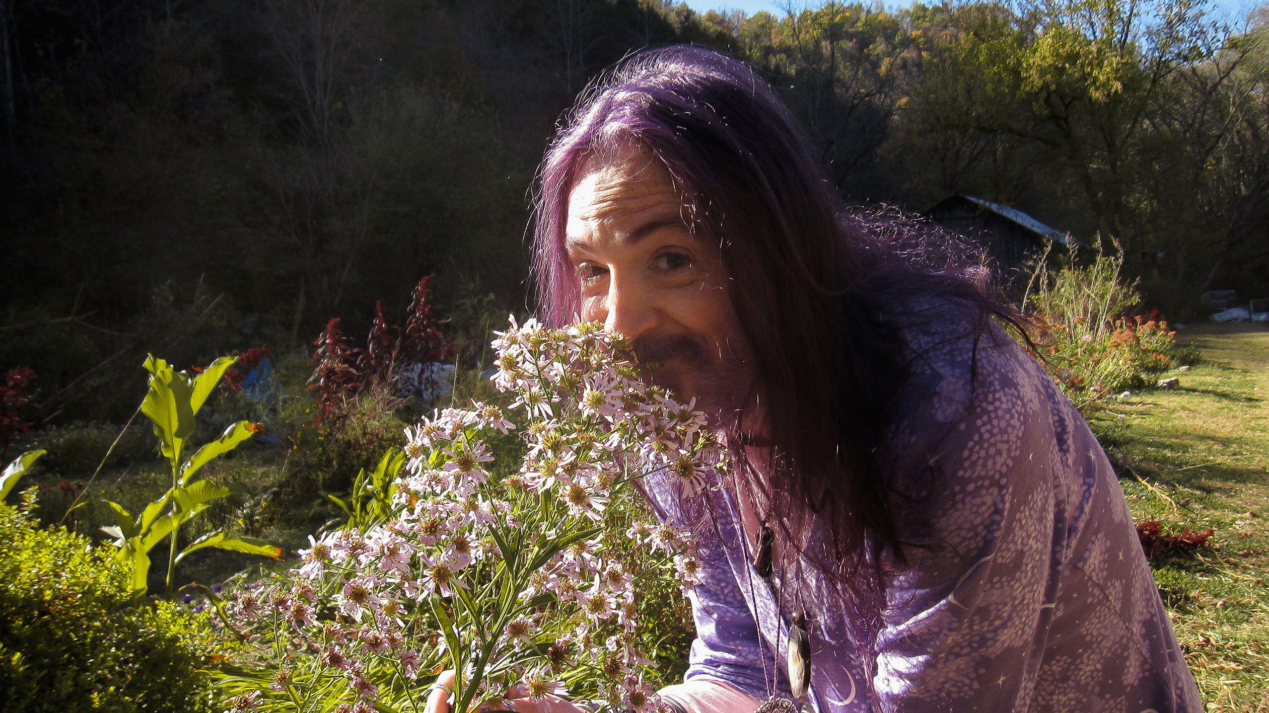 Backdrop for Queer Gardening