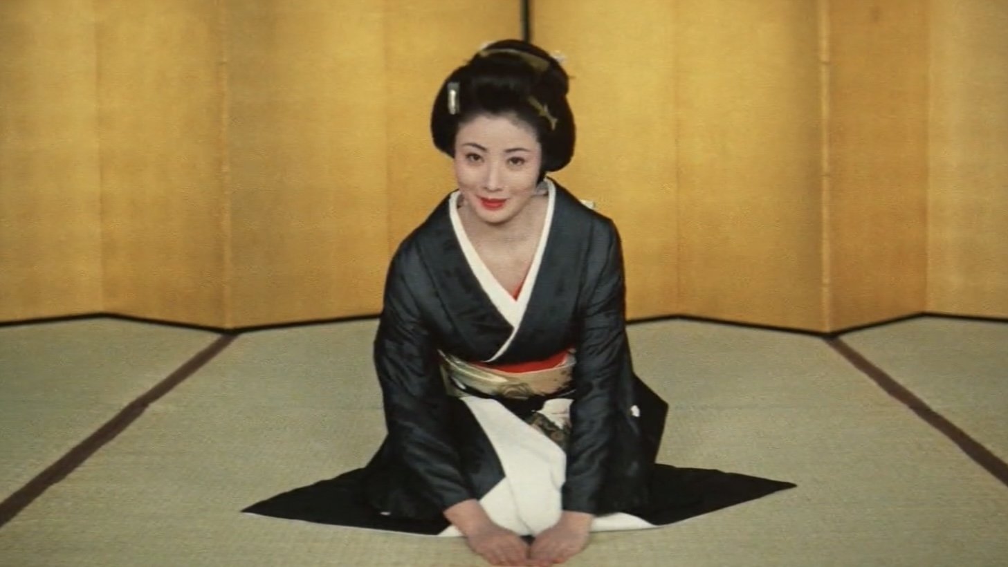 Backdrop for Samurai Geisha