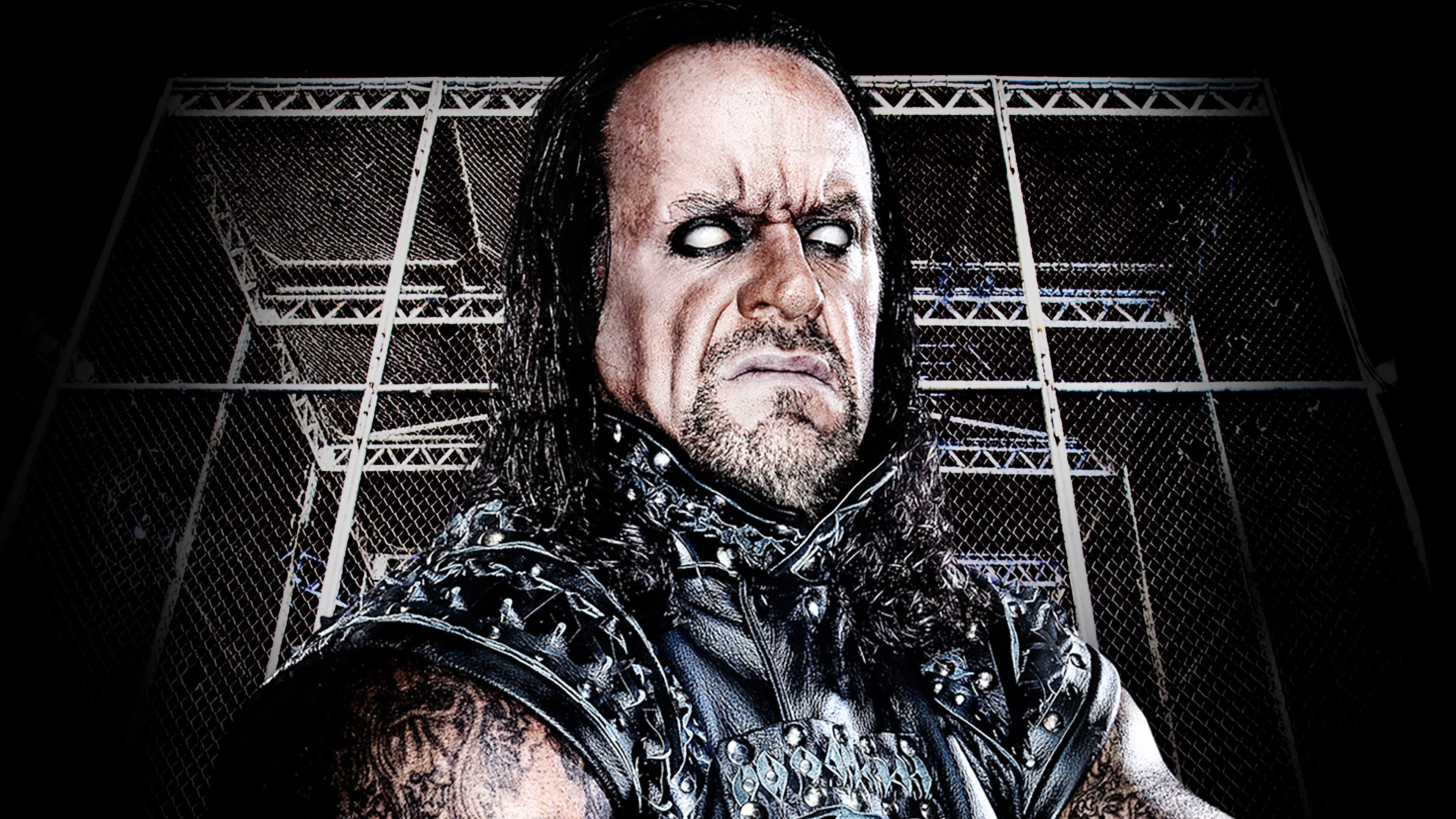 Backdrop for WWE Hell In A Cell 2010