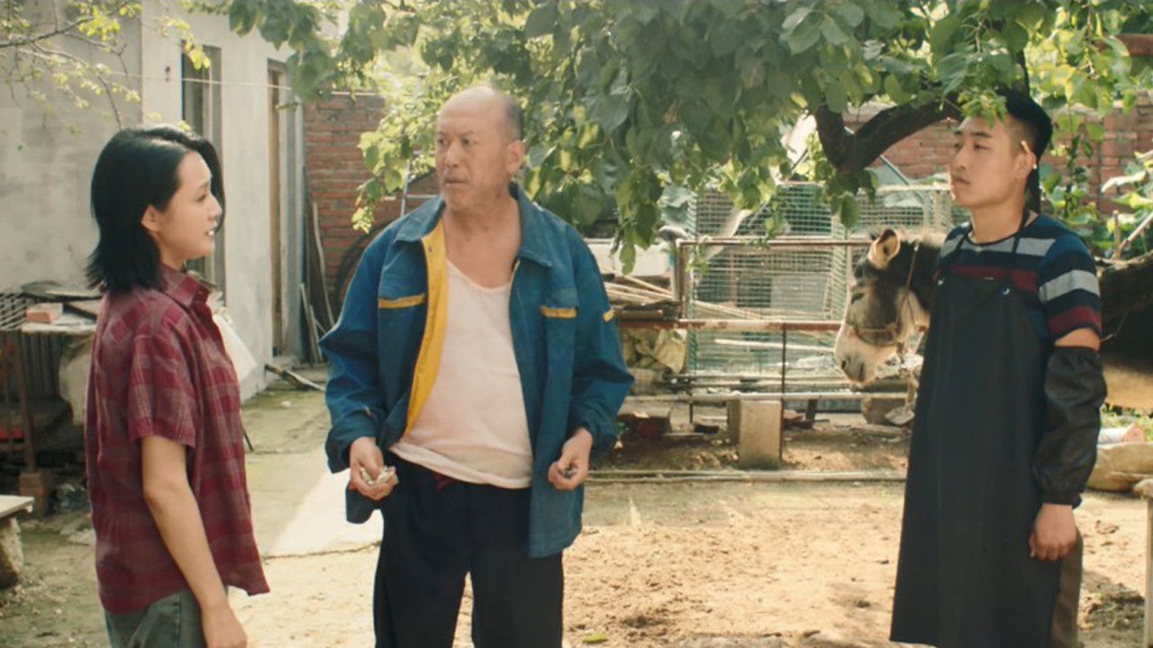 Backdrop for Donkey On The Tree 2:  Stubborn Donkey goes on