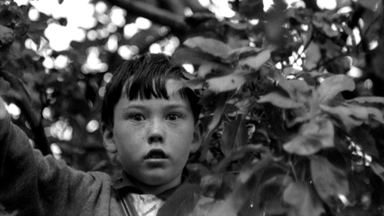 Backdrop for Arcadia