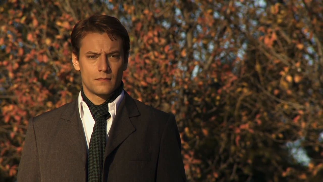 Backdrop for Schafhaus, casa de ovejas