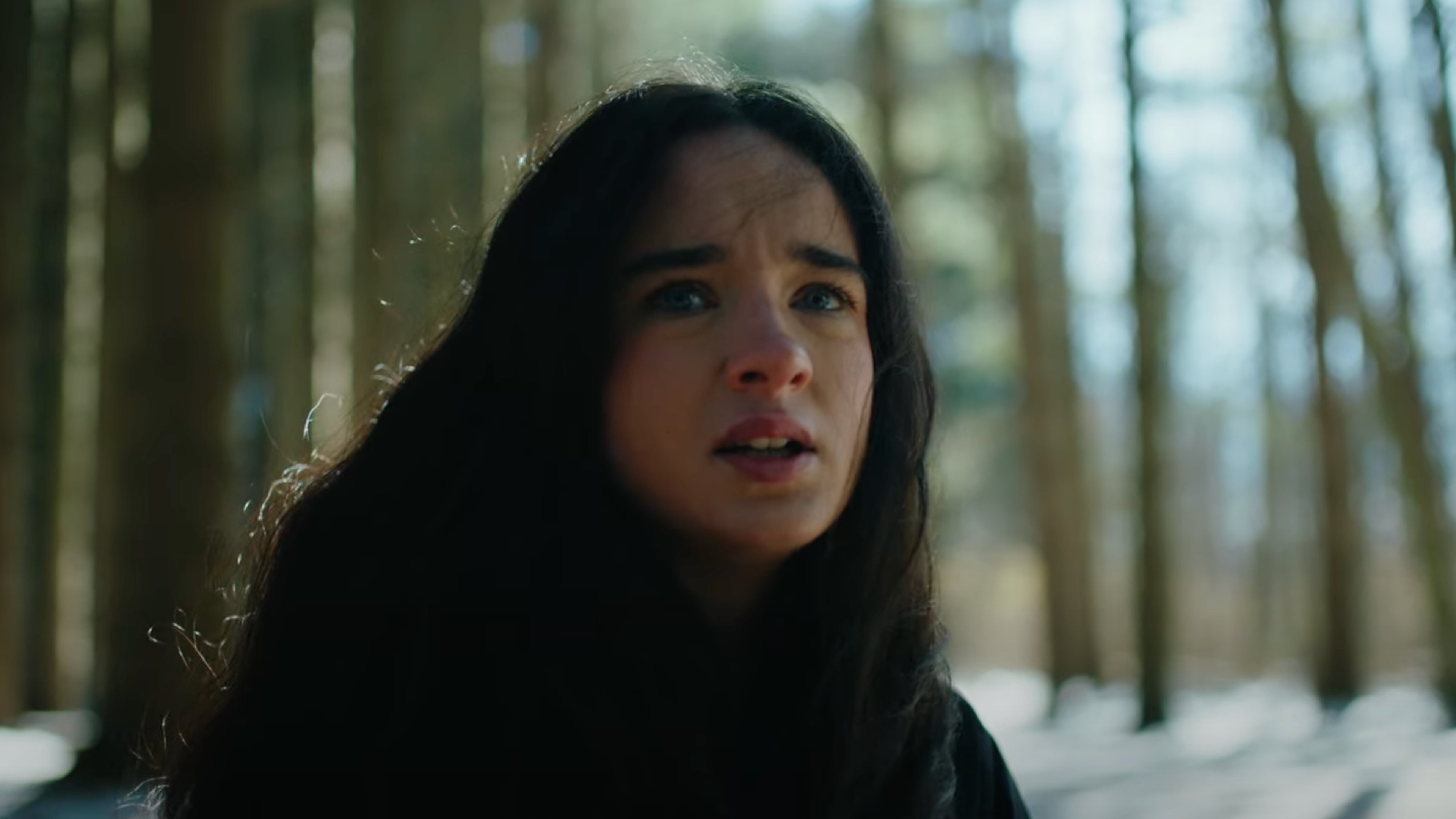 Backdrop for The World at Hand