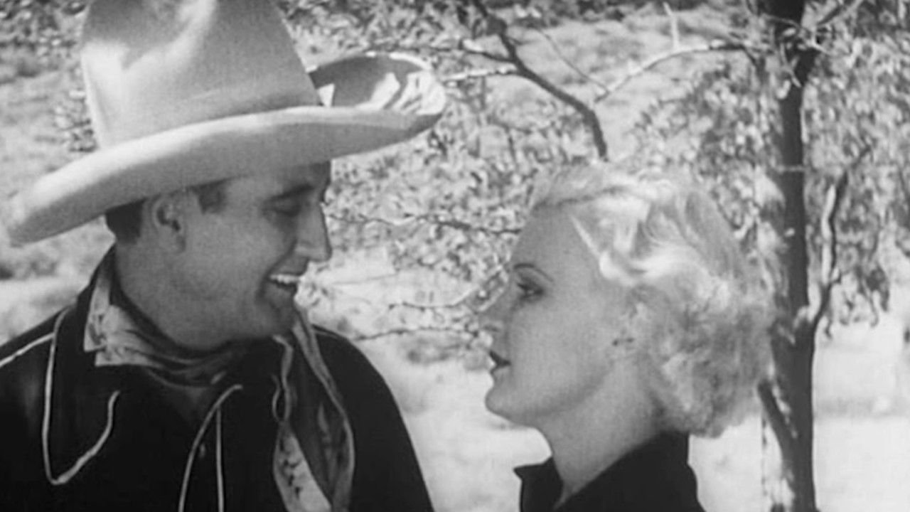 Backdrop for Desert Mesa