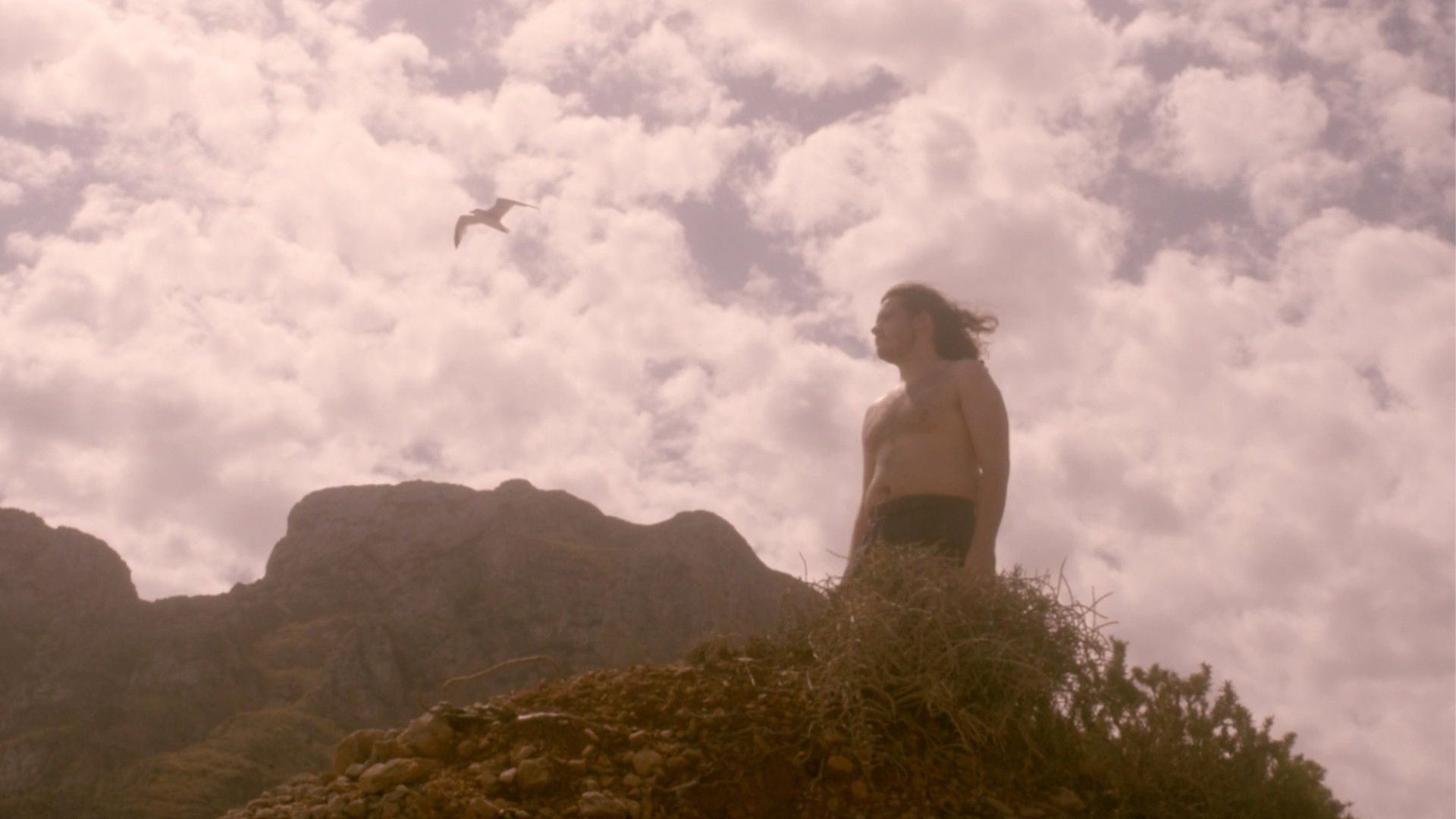 Backdrop for Ulysses' dog