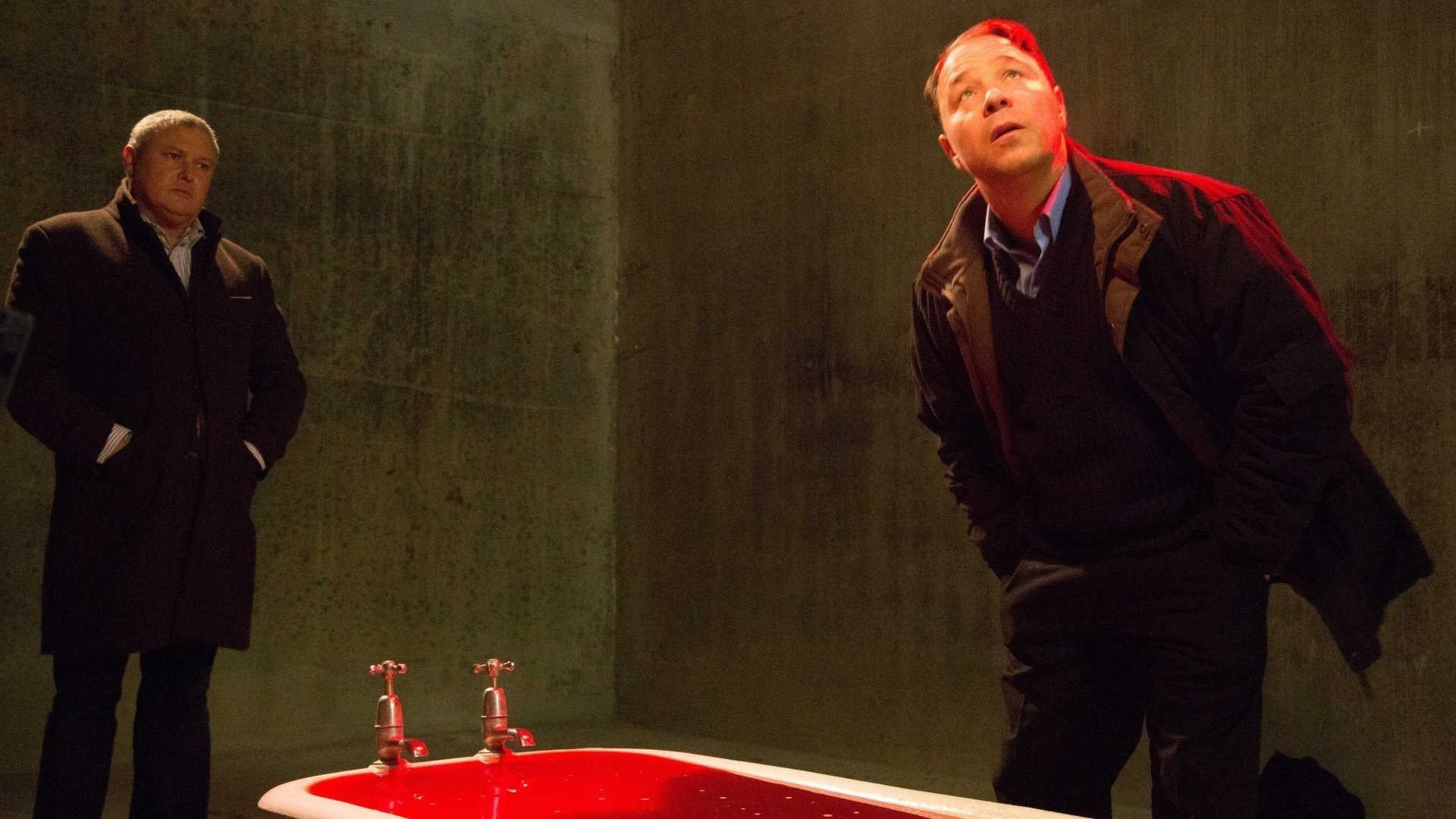 Backdrop for A Patch of Fog