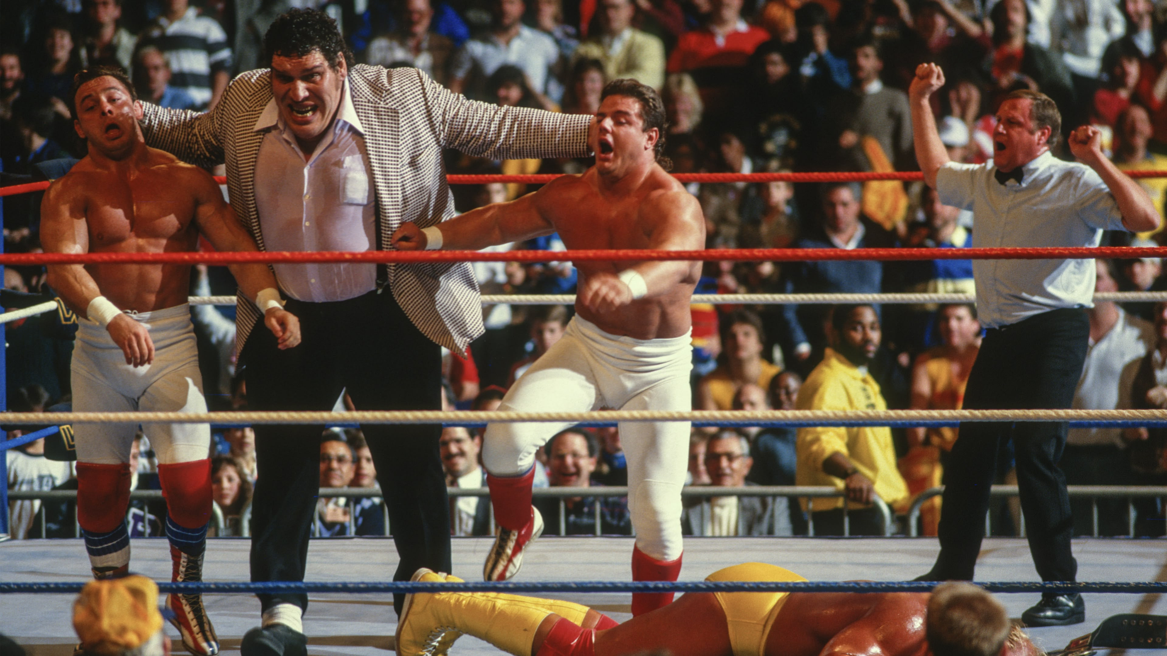 Backdrop for Saturday Night's Main Event