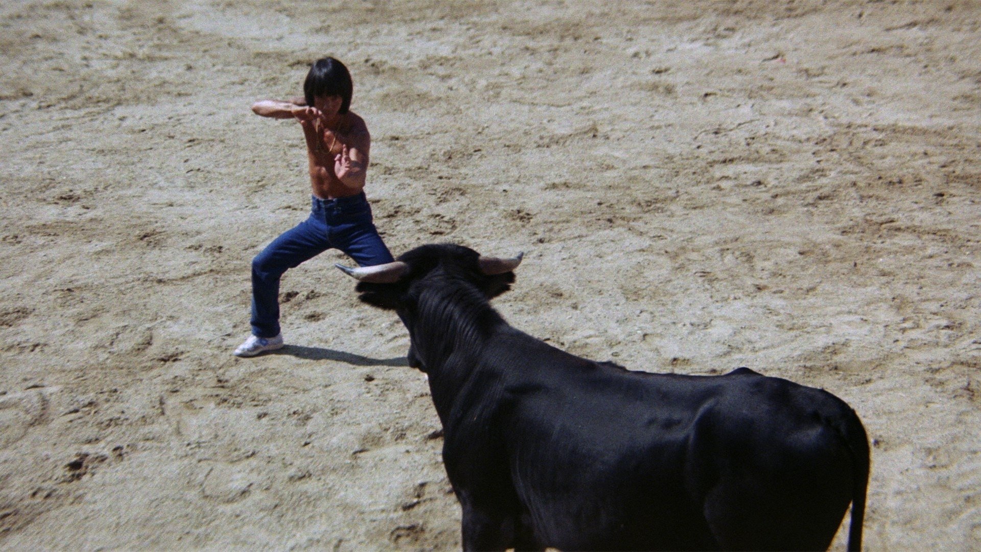 Backdrop for Challenge of the Tiger