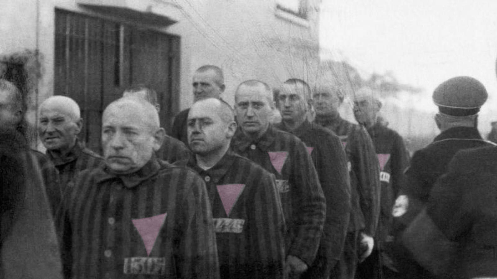 Backdrop for The Pink Triangle and the Nazi Cure for Homosexuality