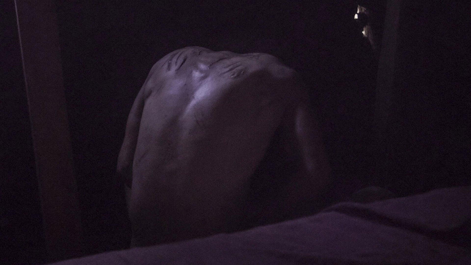 Backdrop for Phaenicia