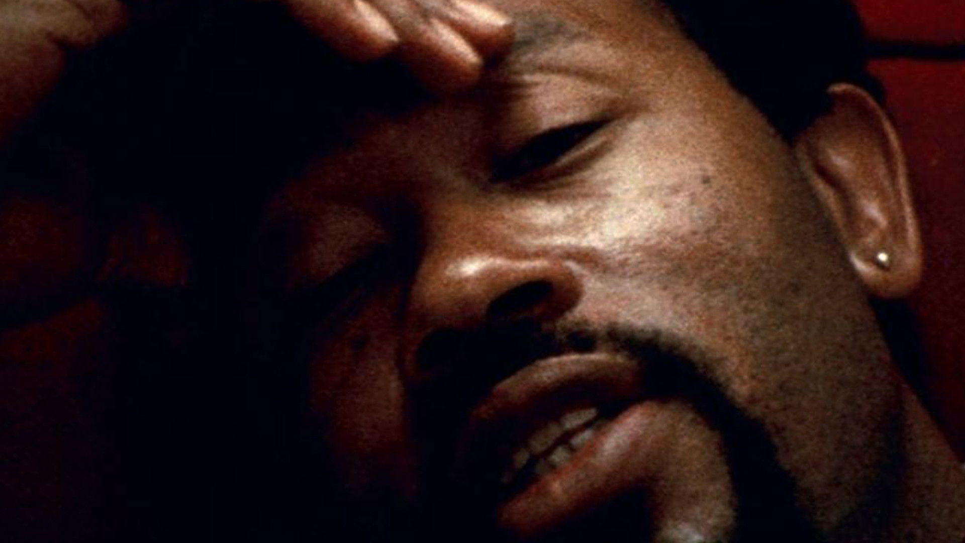 Backdrop for Eldridge Cleaver, Black Panther