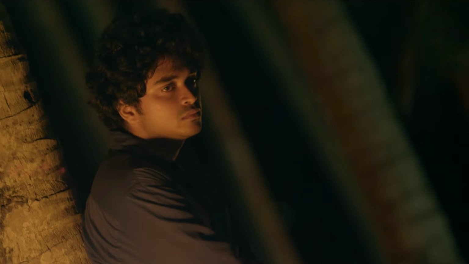 Backdrop for Njan Steve Lopez