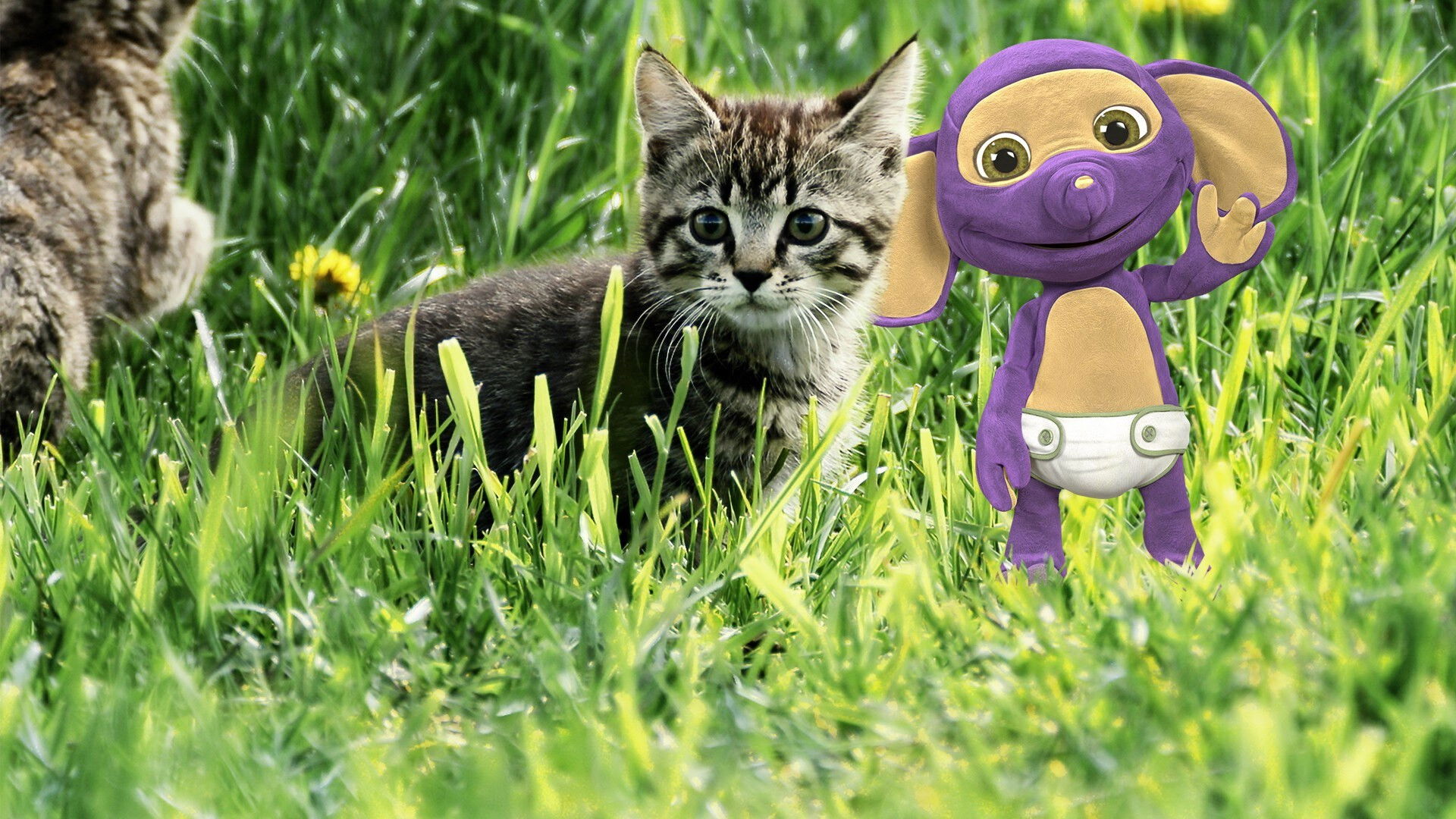 Backdrop for Fantus og dyra