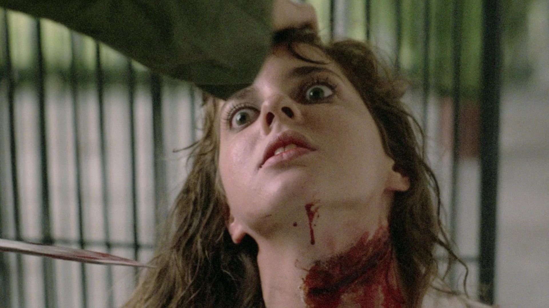 Backdrop for Killing Birds