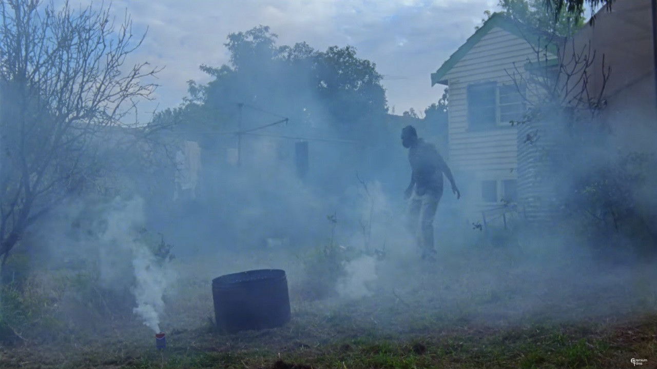 Backdrop for All These Creatures