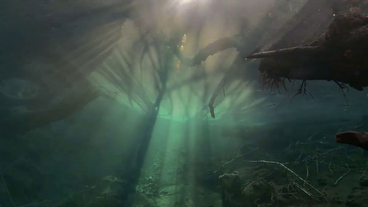 Backdrop for Un fleuve invisible