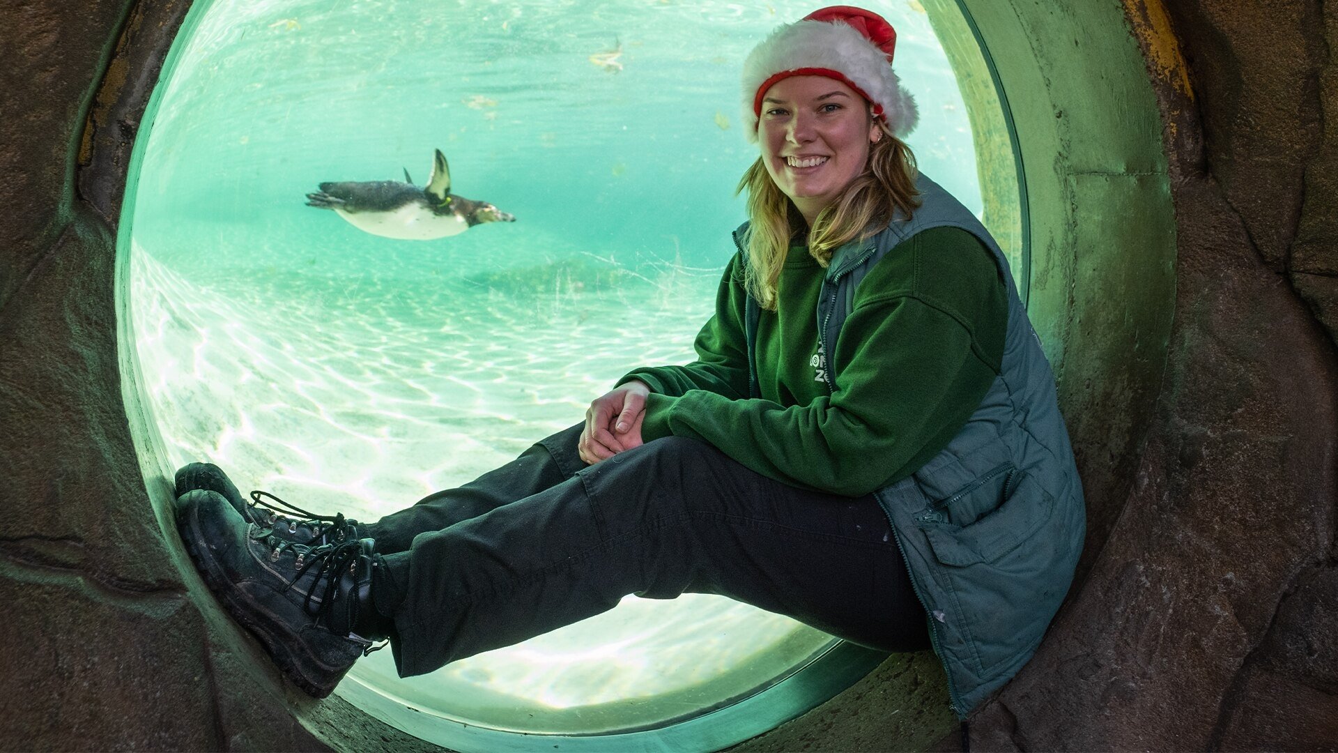 Backdrop for London Zoo at Christmas