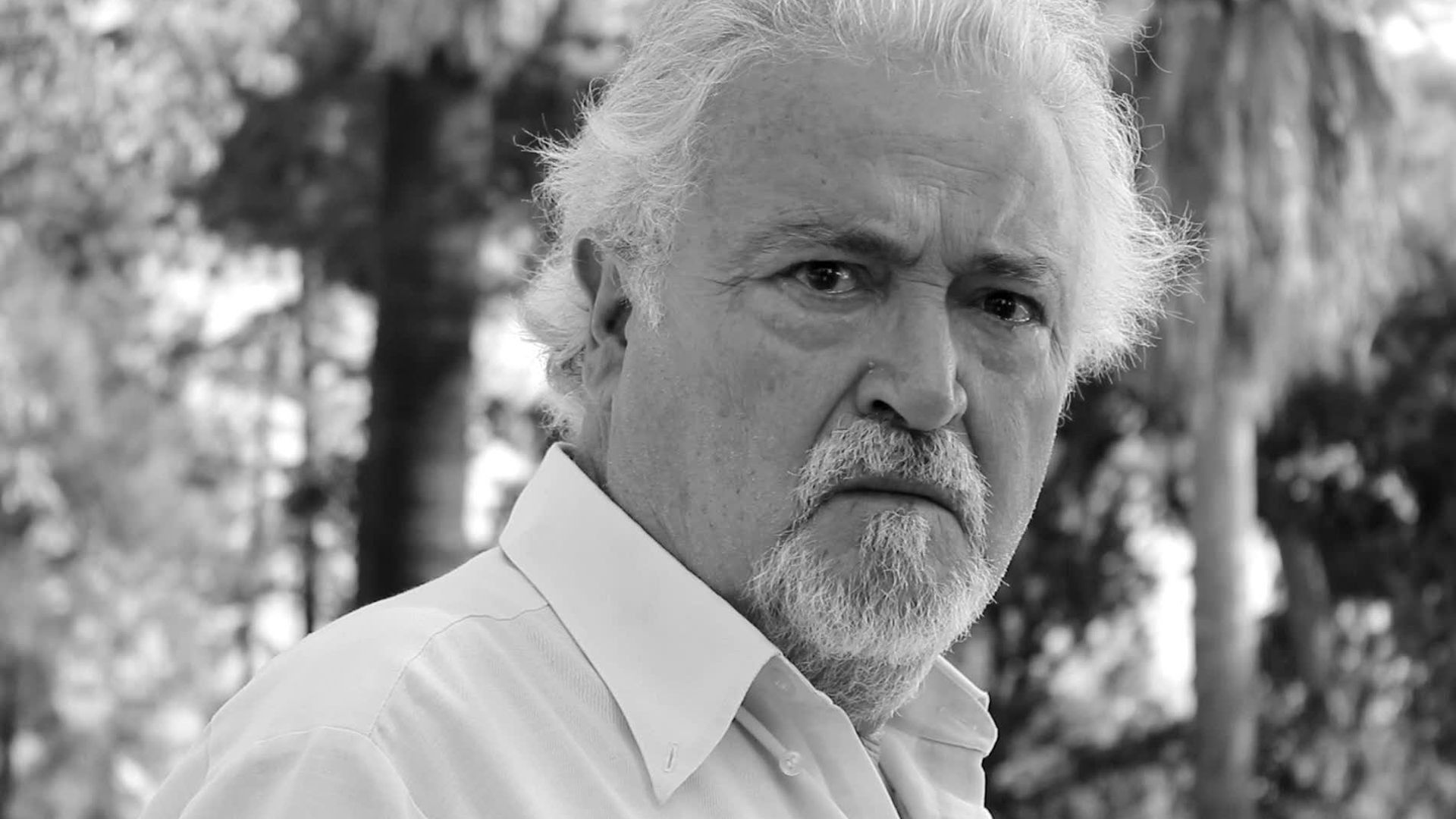 Backdrop for Blurred