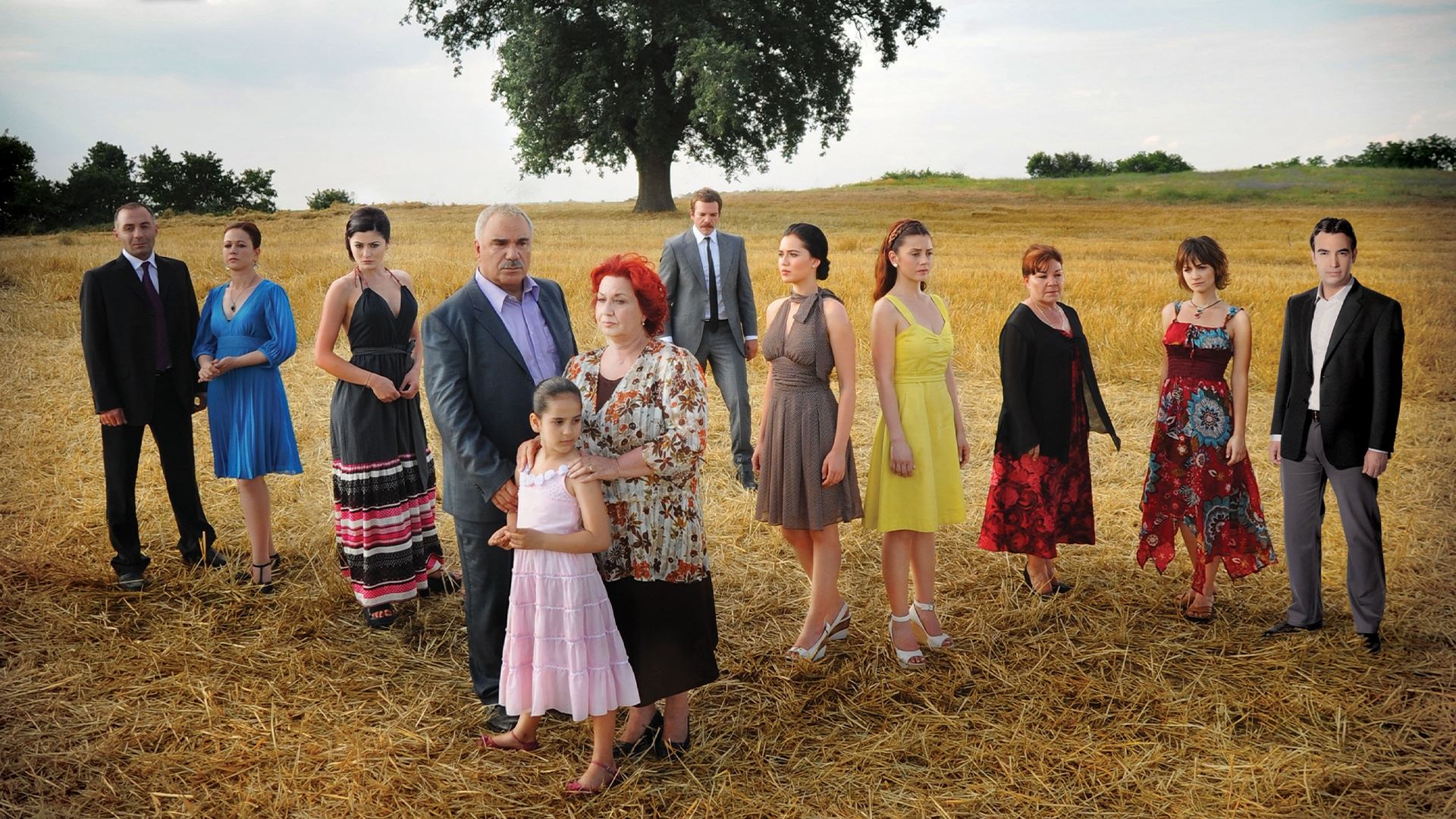 Backdrop for Falling Leaves