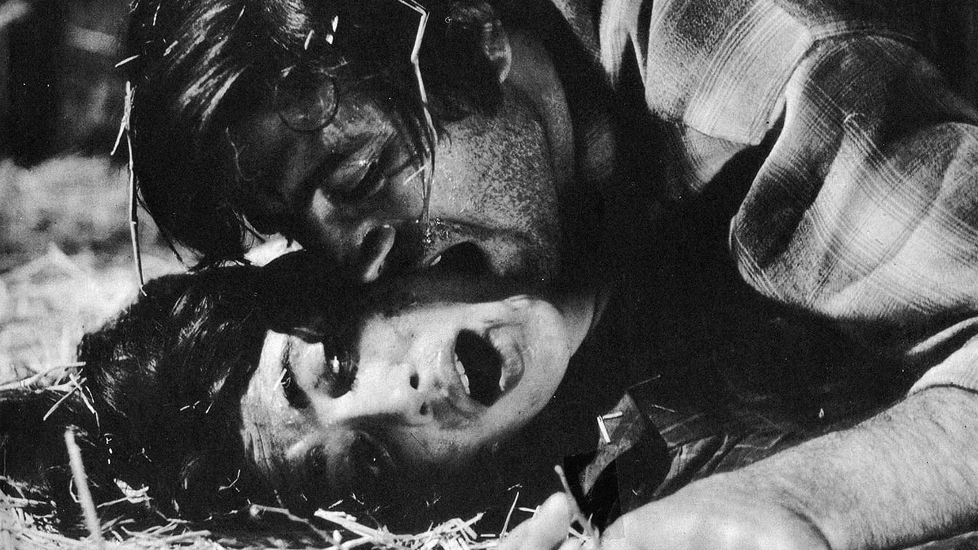 Backdrop for The Fear