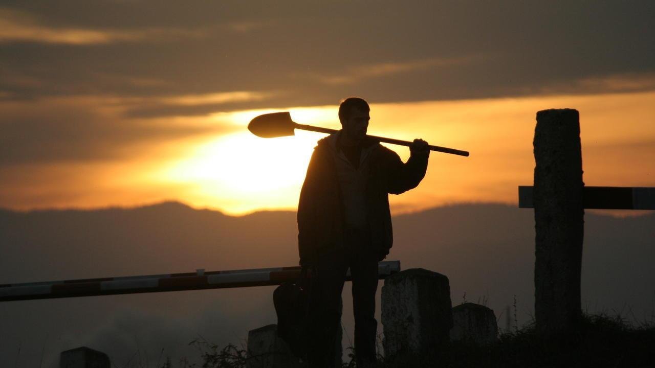 Backdrop for Strigoi