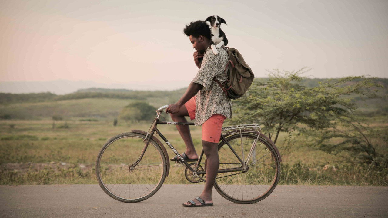 Backdrop for Dry River