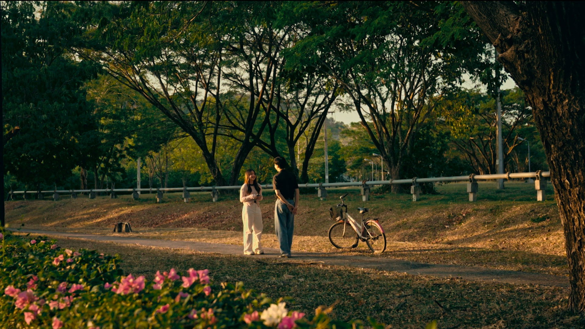 Backdrop for Detective Love