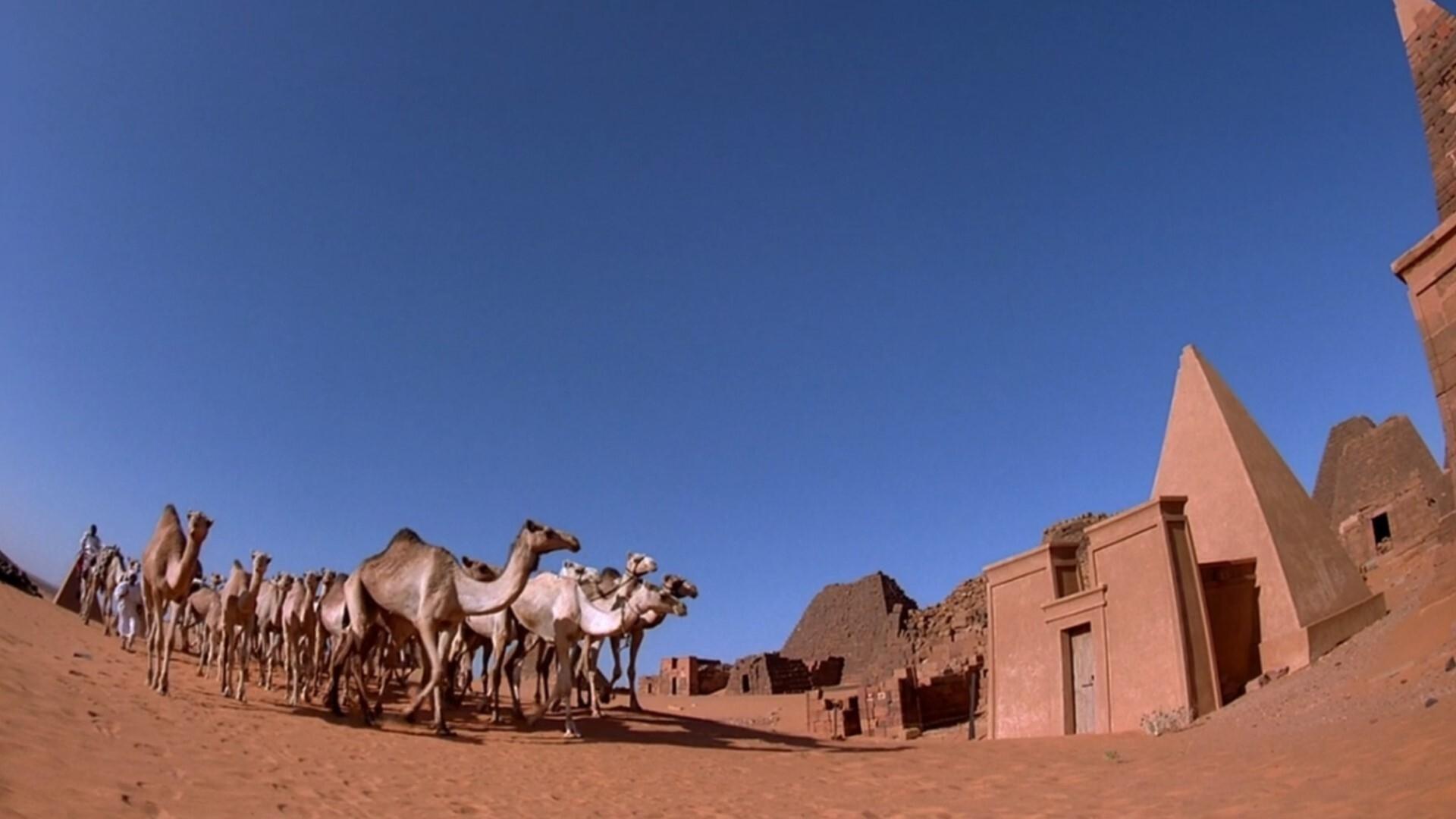 Backdrop for Mystery of the Nile