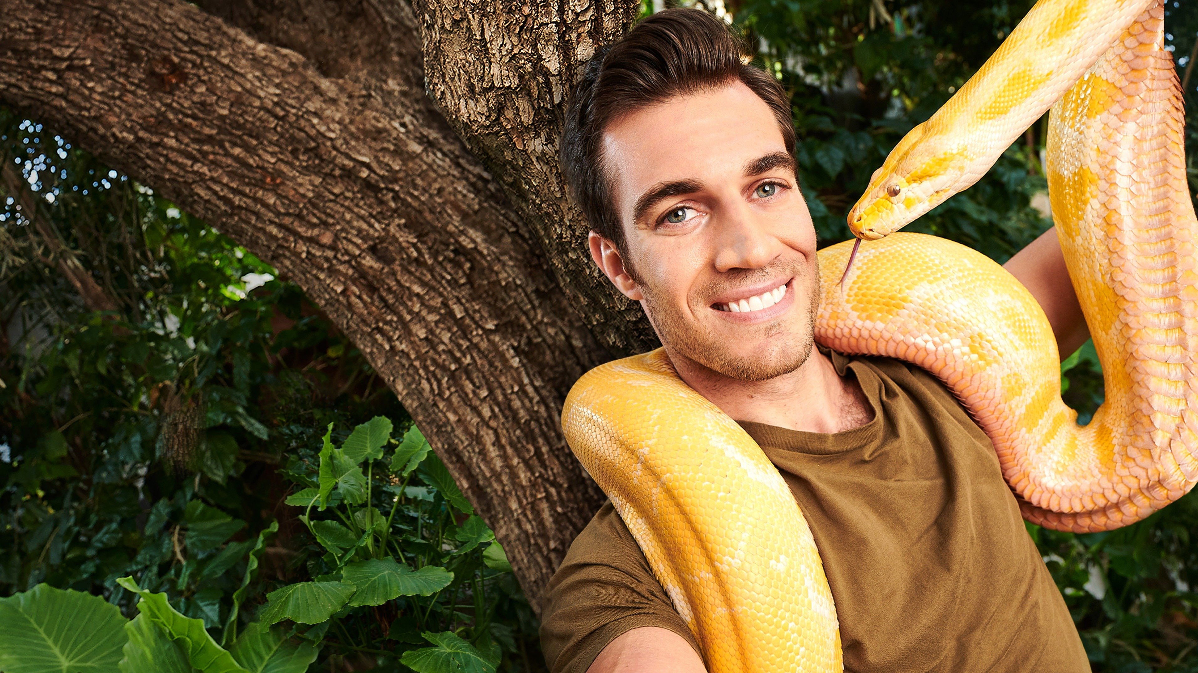 Backdrop for Evan Goes Wild