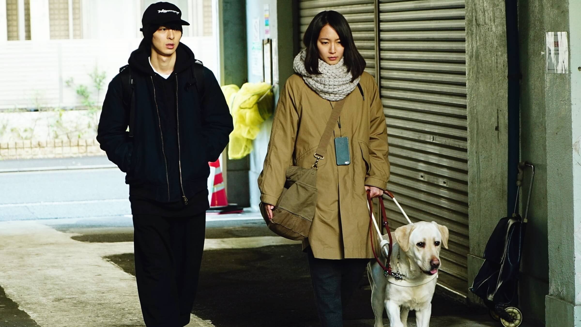 Backdrop for The Witness