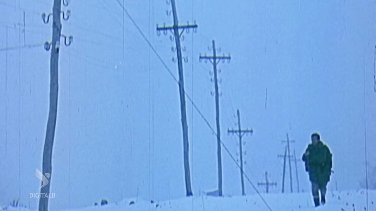 Backdrop for White Roads